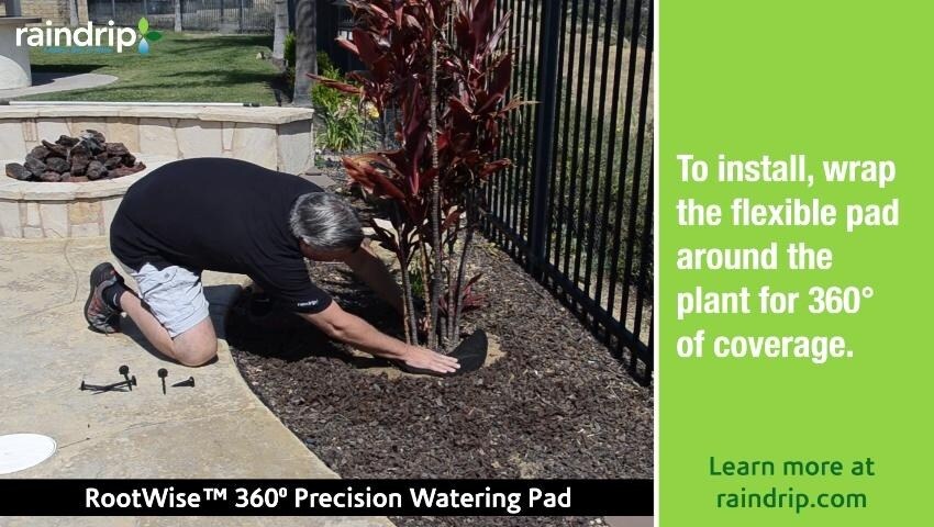 A thumbnail for the video