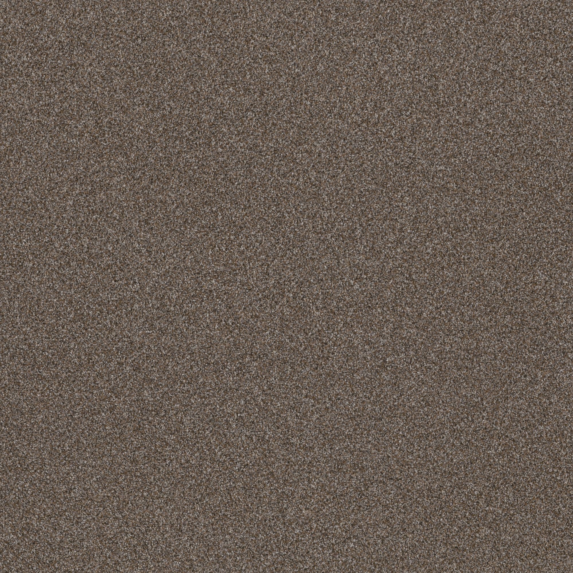 Style Selections 7L865 - 511 - SAMP (Sample) Hideaway I City Scape Gray 31.2-oz sq yard Polyester Textured Indoor Carpet