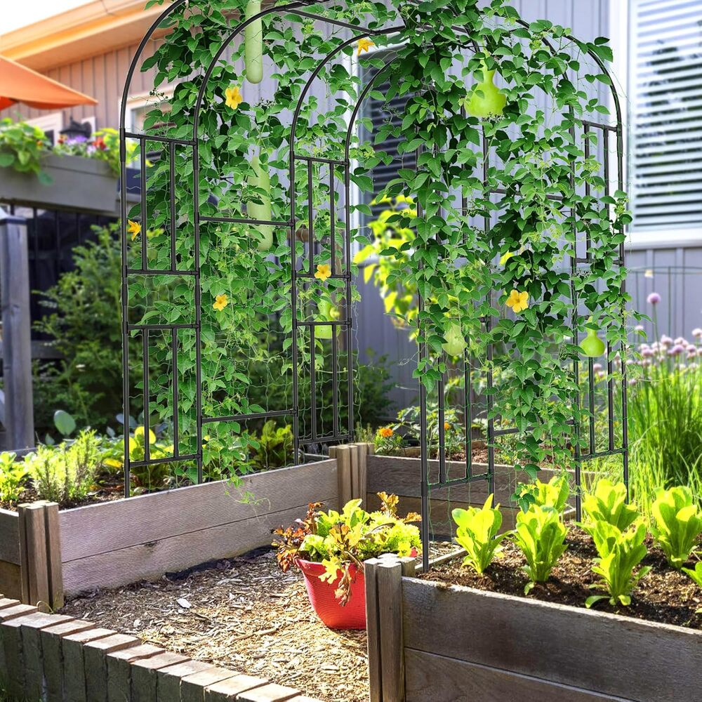 Esazn I1327138-BG-QUEENFL Garden-Trellis - View #8