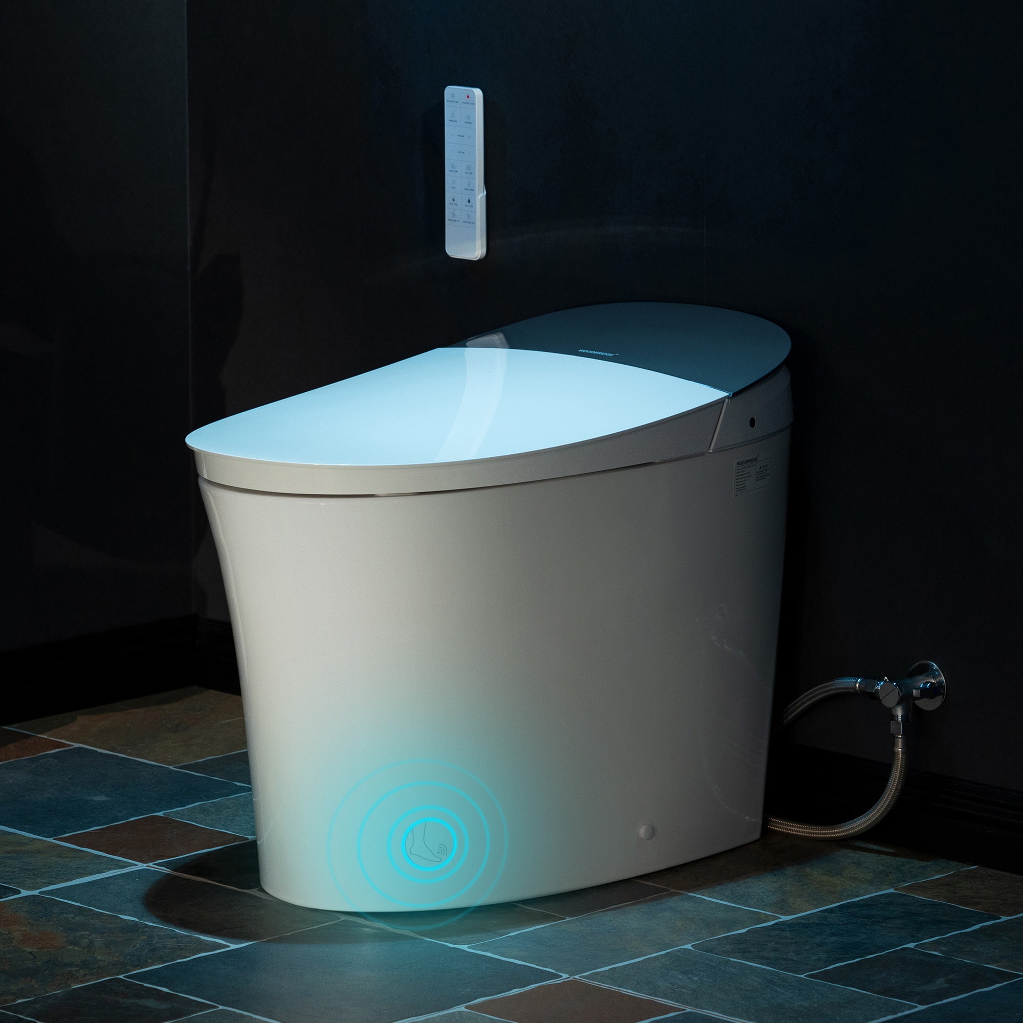 Woodbridge EBT230 White Dual Flush Elongated Chair height Smart Soft Close 1-piece Bidet Toilet 12-in Rough-In 1.6 GPF #LT620