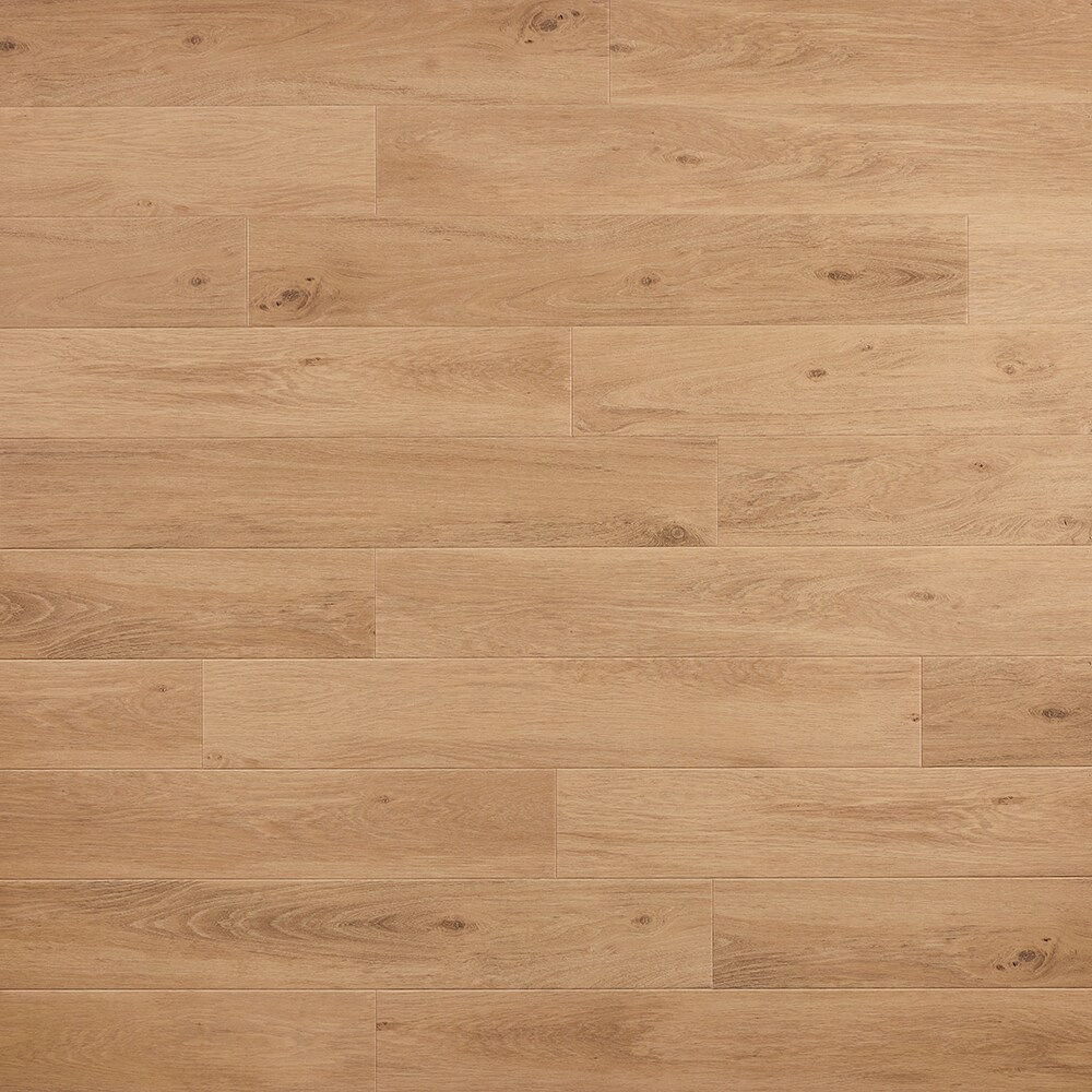 STAINMASTER Sample STAINMASTER Pressed Bevel Gable Park Oak 22-mil x 7.13-in W Waterproof Luxury Vinyl Plank