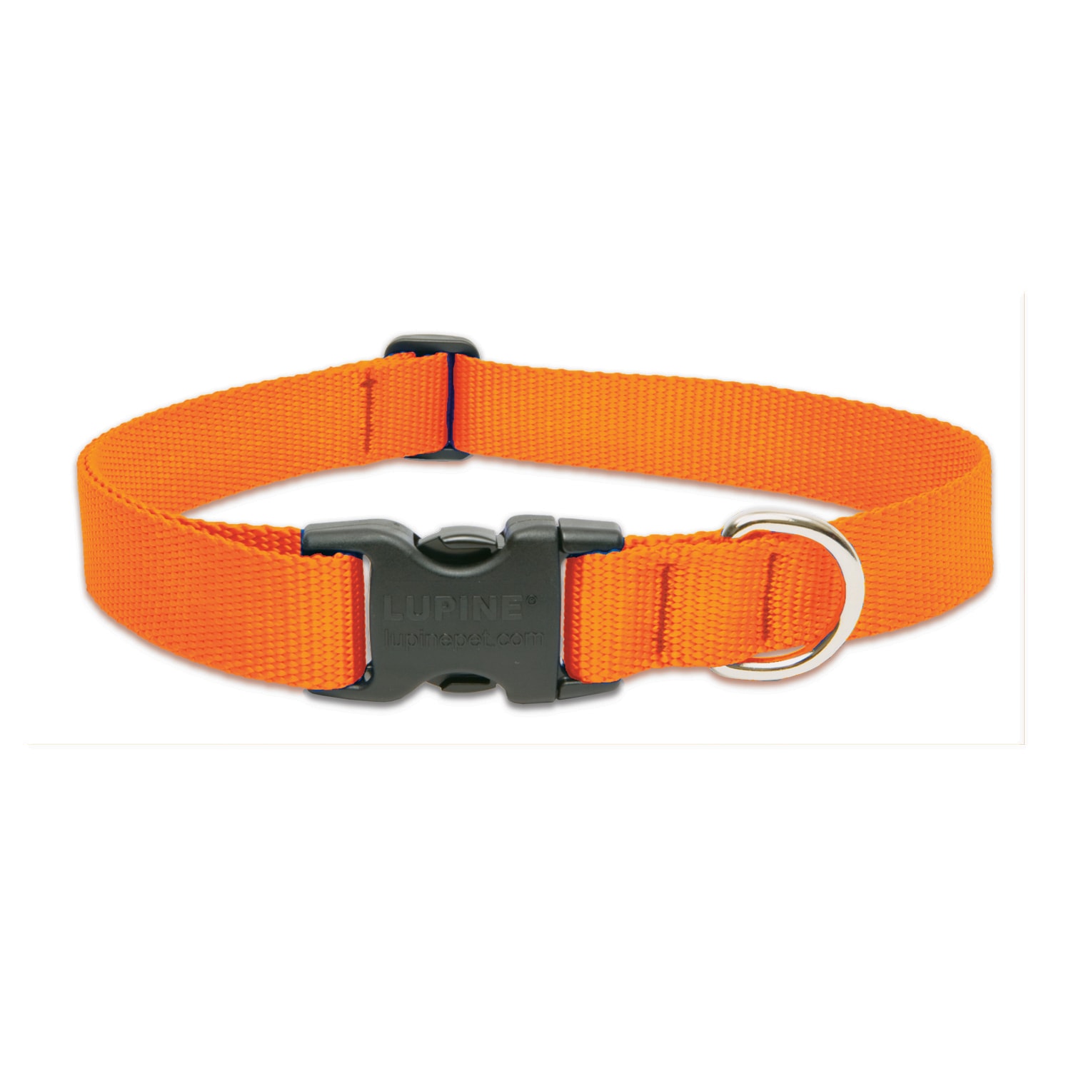 LupinePet  Basic Solids Blaze Orange Blaze Orange Nylon Dog Adjustable Collar