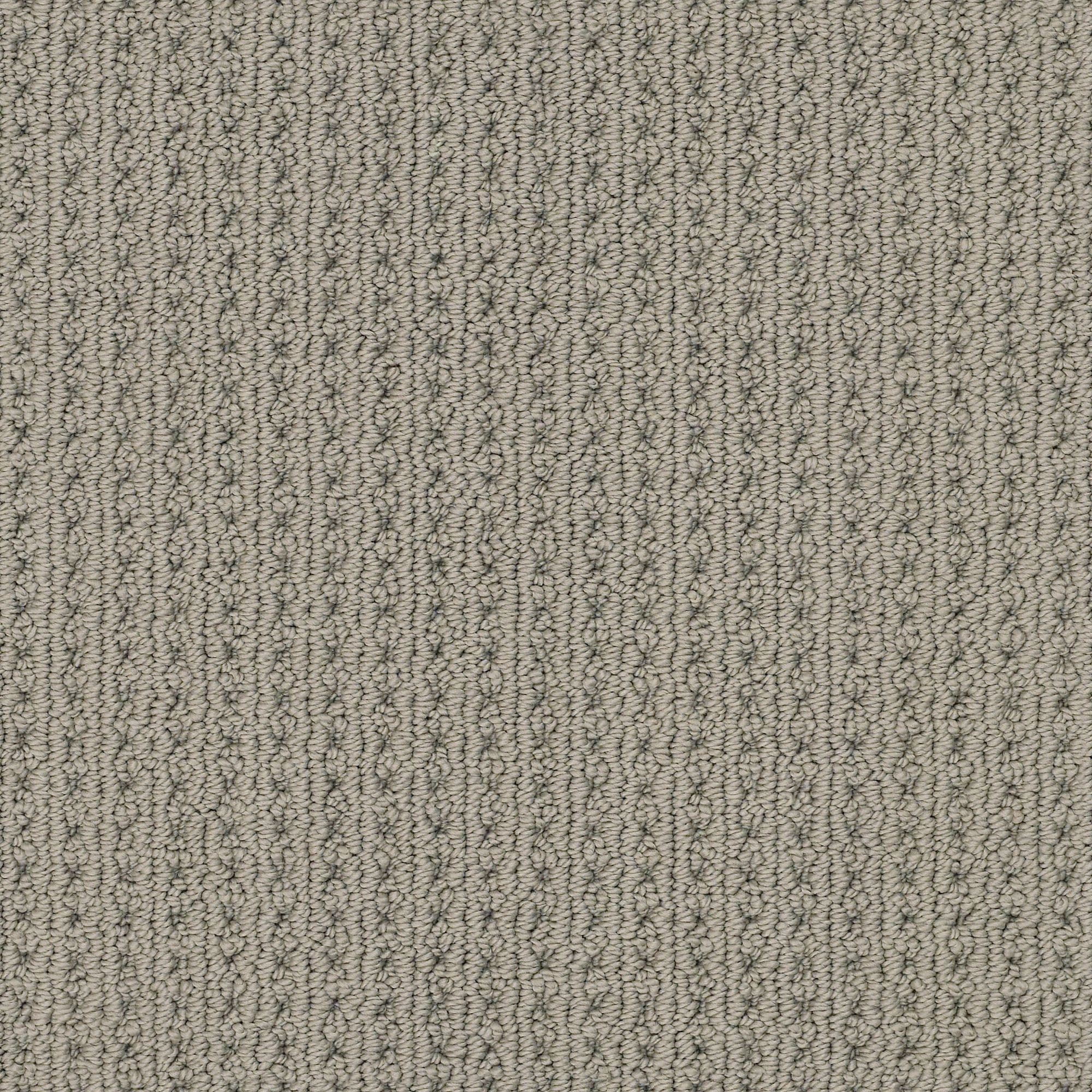 STAINMASTER 7L874 - 577 - SAMP (Sample) Revitalized Pewter Gray 34.1-oz sq yard Polyester Textured Indoor Carpet