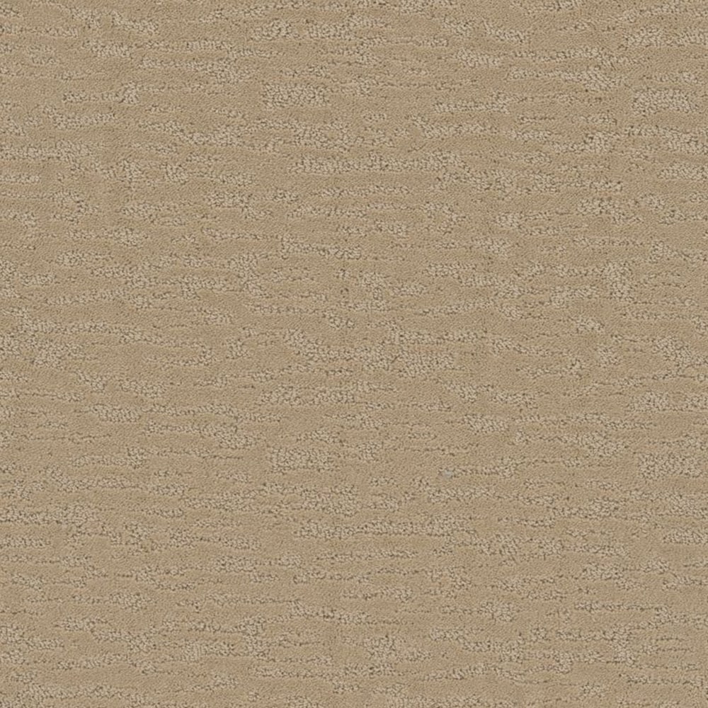 STAINMASTER S9436-738-1200-MO Boutique High class Brown 36-oz sq yard Polyester Pattern Indoor Carpet