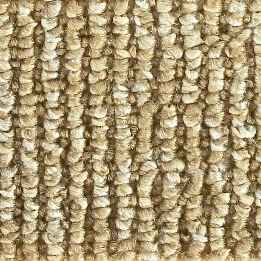 Home and Office Sand Dollar Berber/Loop Indoor or Outdoor Carpet 