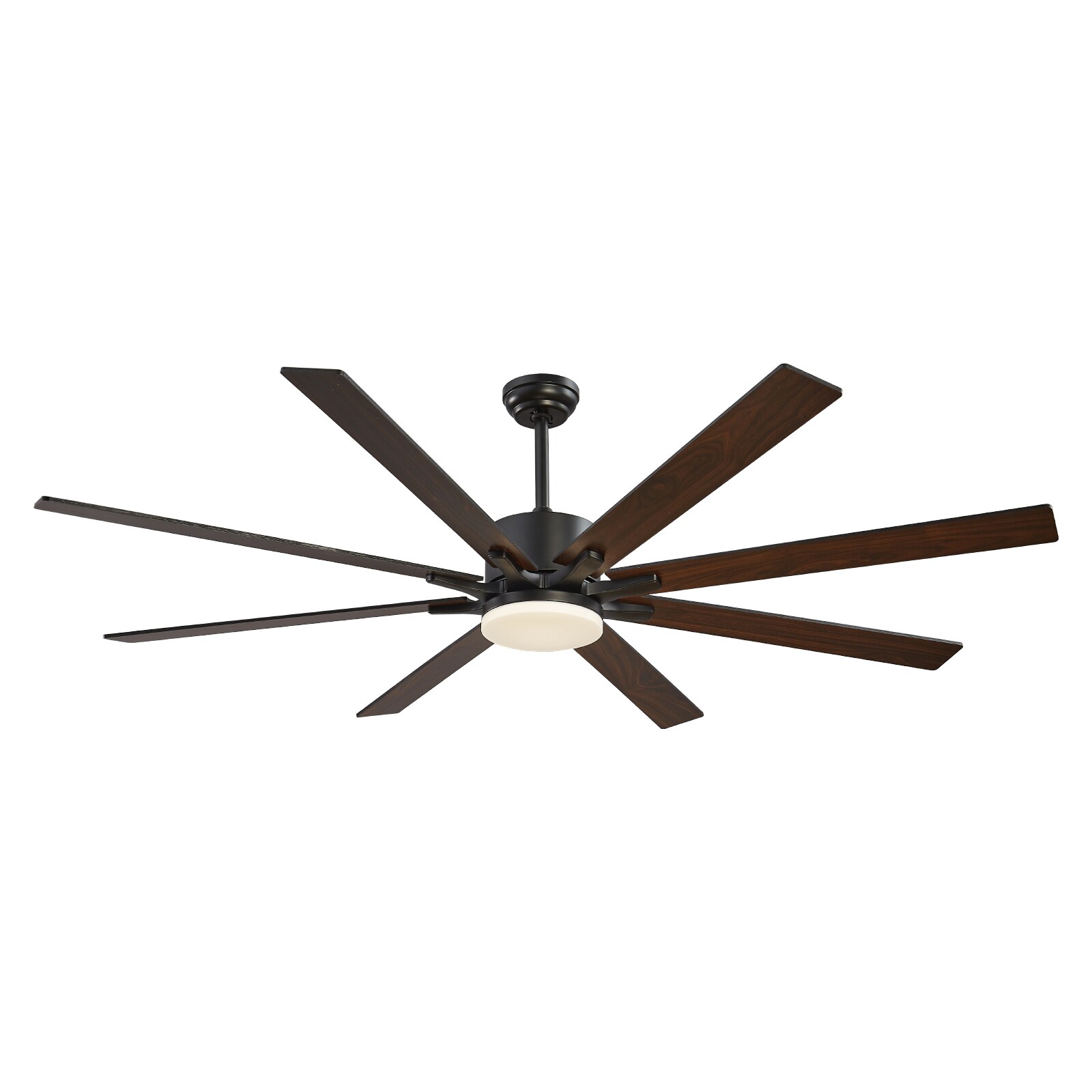 Tenleaf I-CF-08-1 Ceiling-Fans - View #4