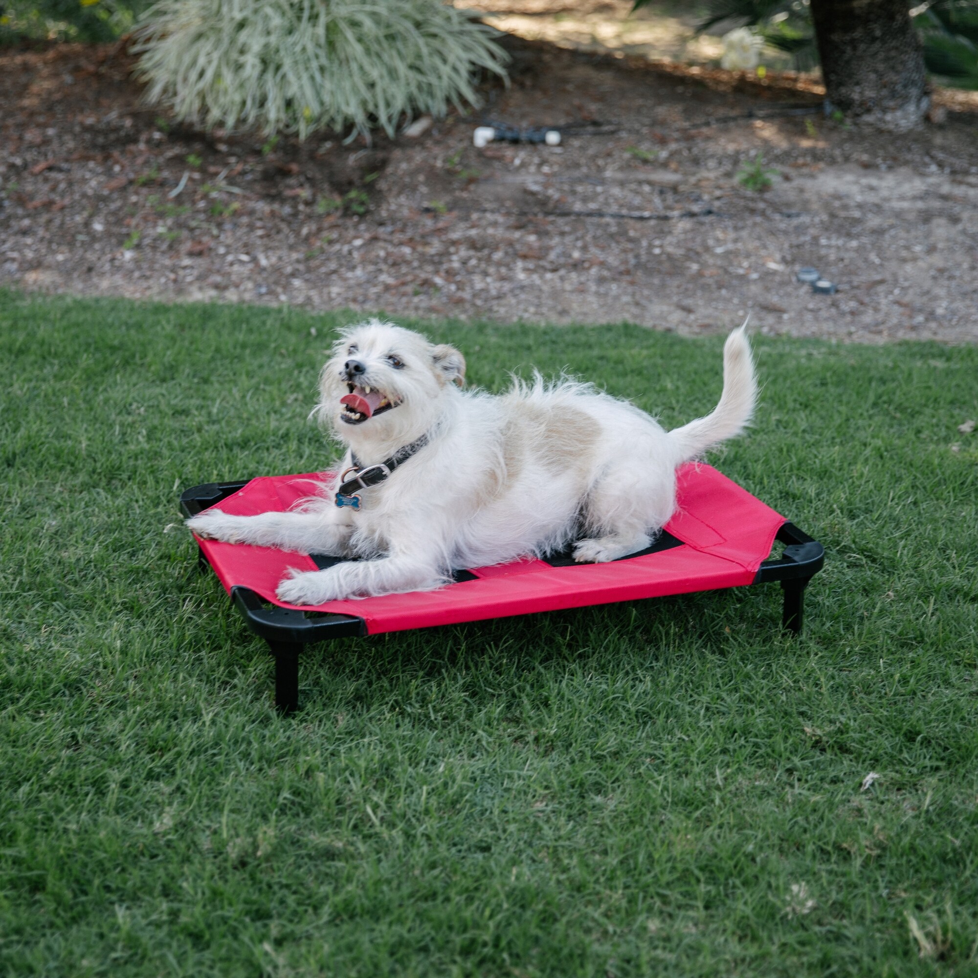 Lucky Dog CMB 10130 Pet-Beds - View #9