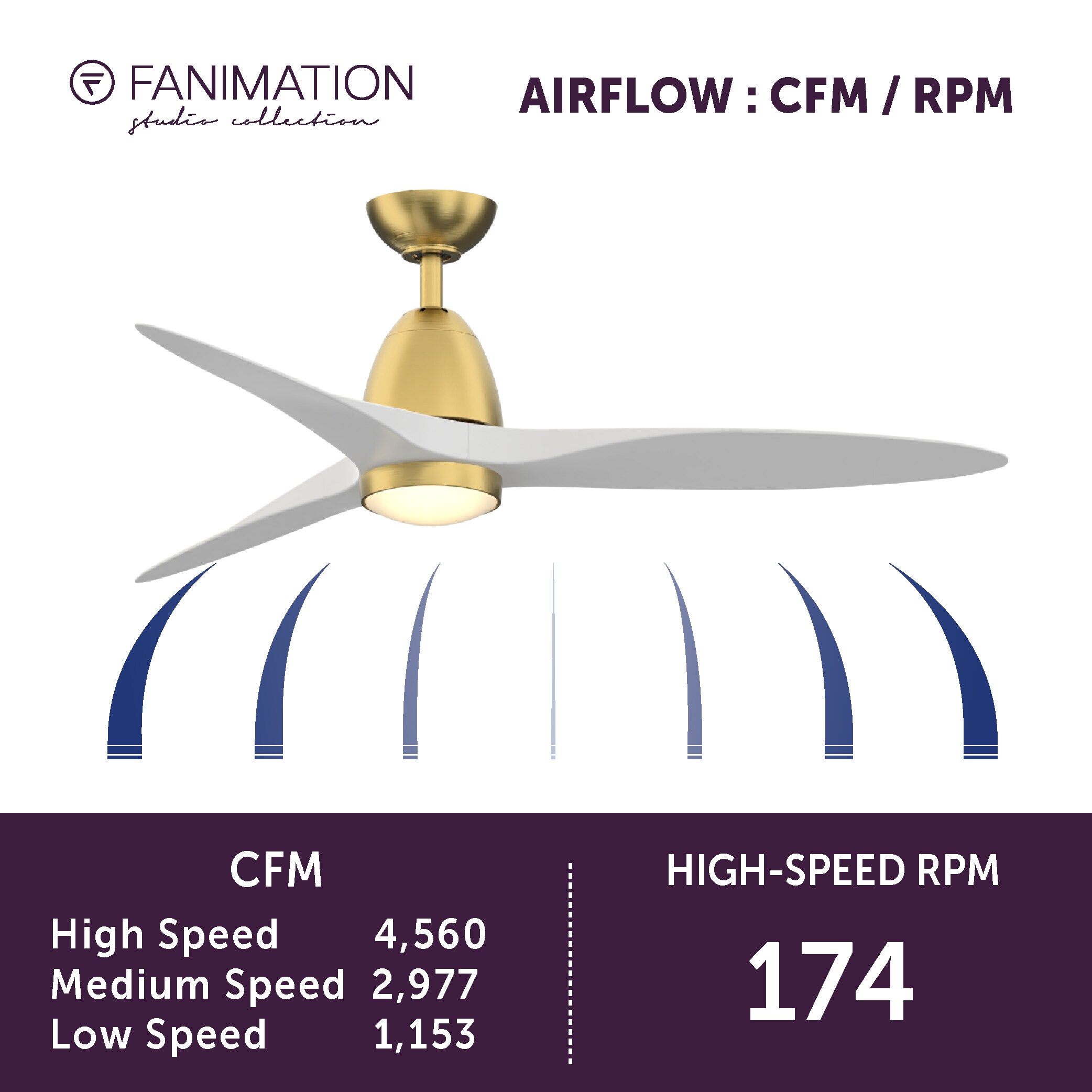 Fanimation Studio Collection LP8333LBS Ceiling-Fans - View #14