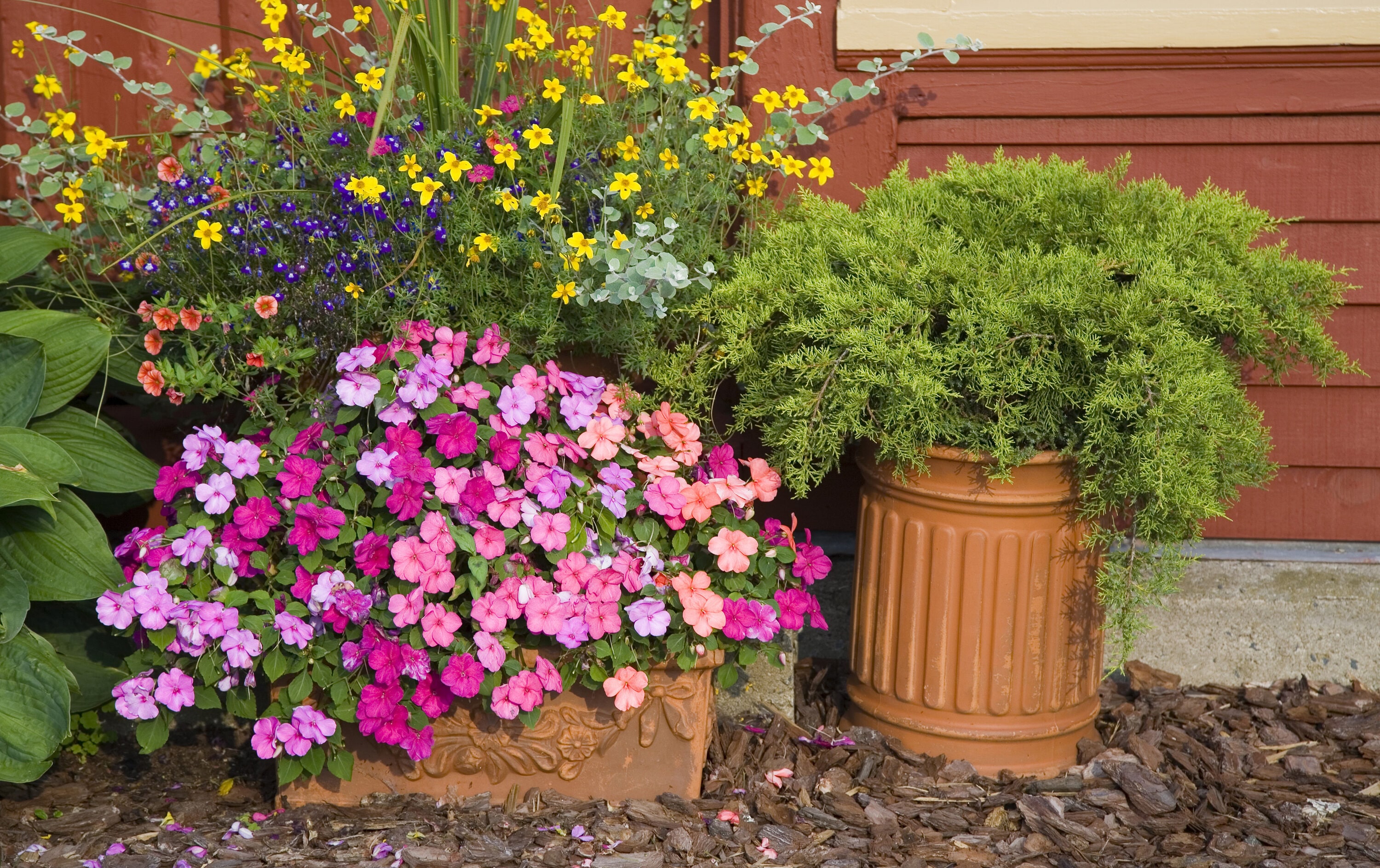 Greensmix WGM03212 Bagged-Mulch - View #4