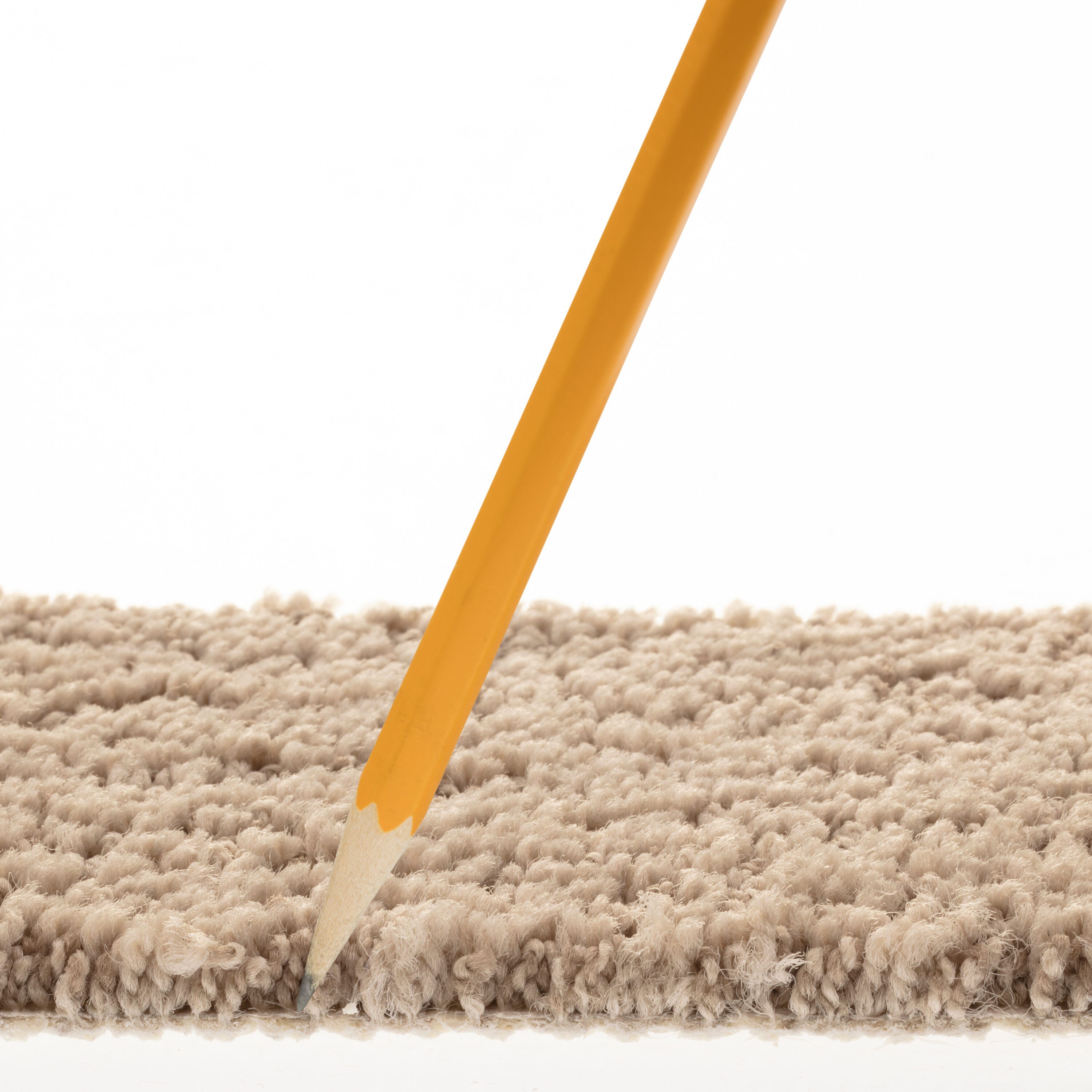 STAINMASTER PetProtect 7L884 - 701 - SAMP Carpet-Samples - View #7