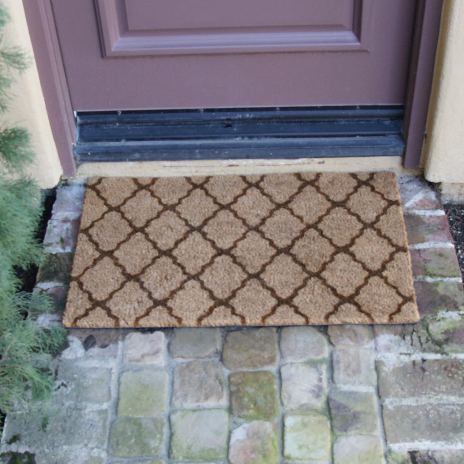 Rubber-Cal 2-ft x 3-ft Brown Rectangular Indoor or Outdoor Door