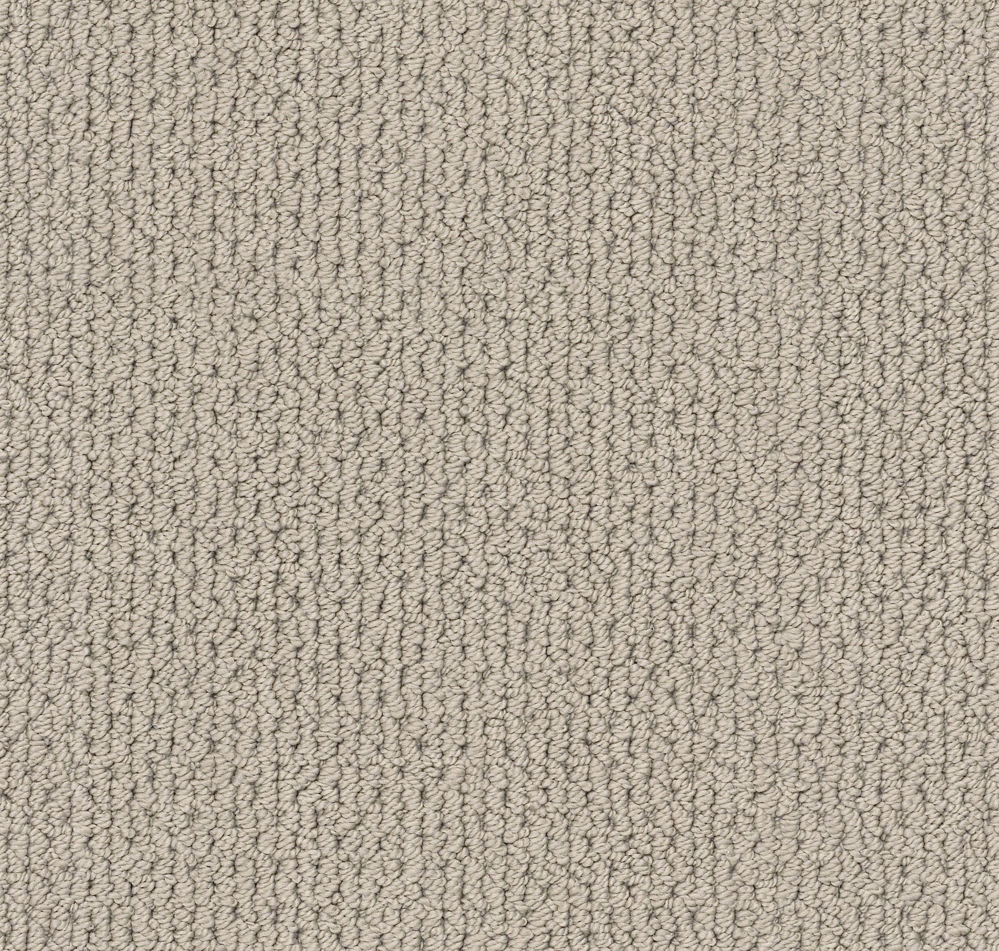 STAINMASTER 7L87300172 Regenerating Portico Brown 34.1-oz sq yard Nylon Level loop Indoor Carpet