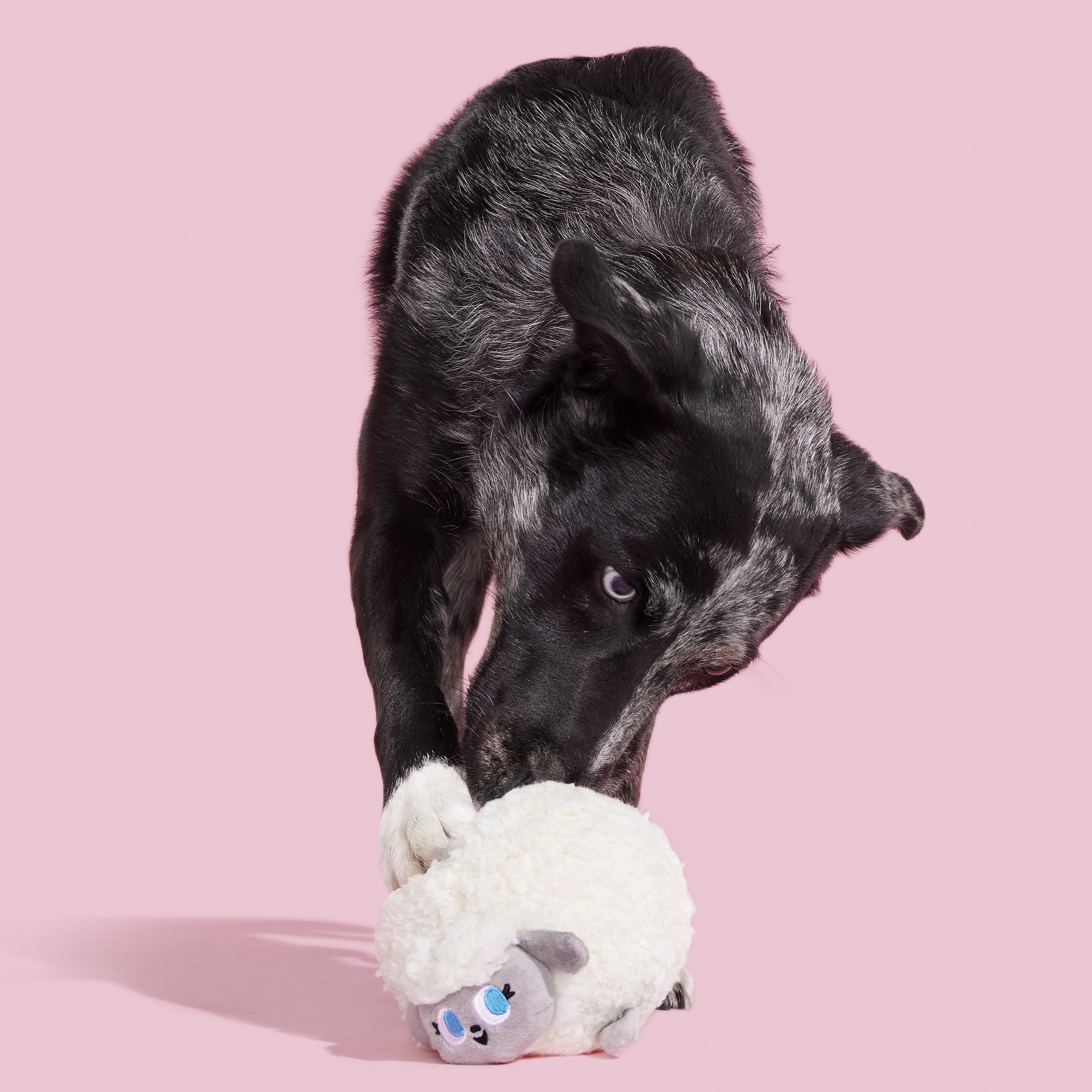 BARK 214273 Dog-Toys - View #3