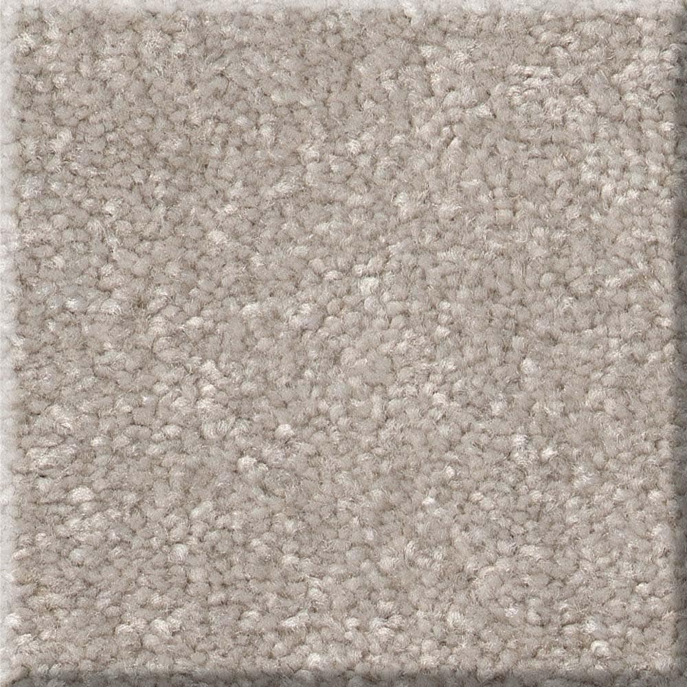 STAINMASTER 7L86100115 Best Intentions I 12-FT Sculpture Brown 39-oz sq yard Polyester Textured Indoor Carpet