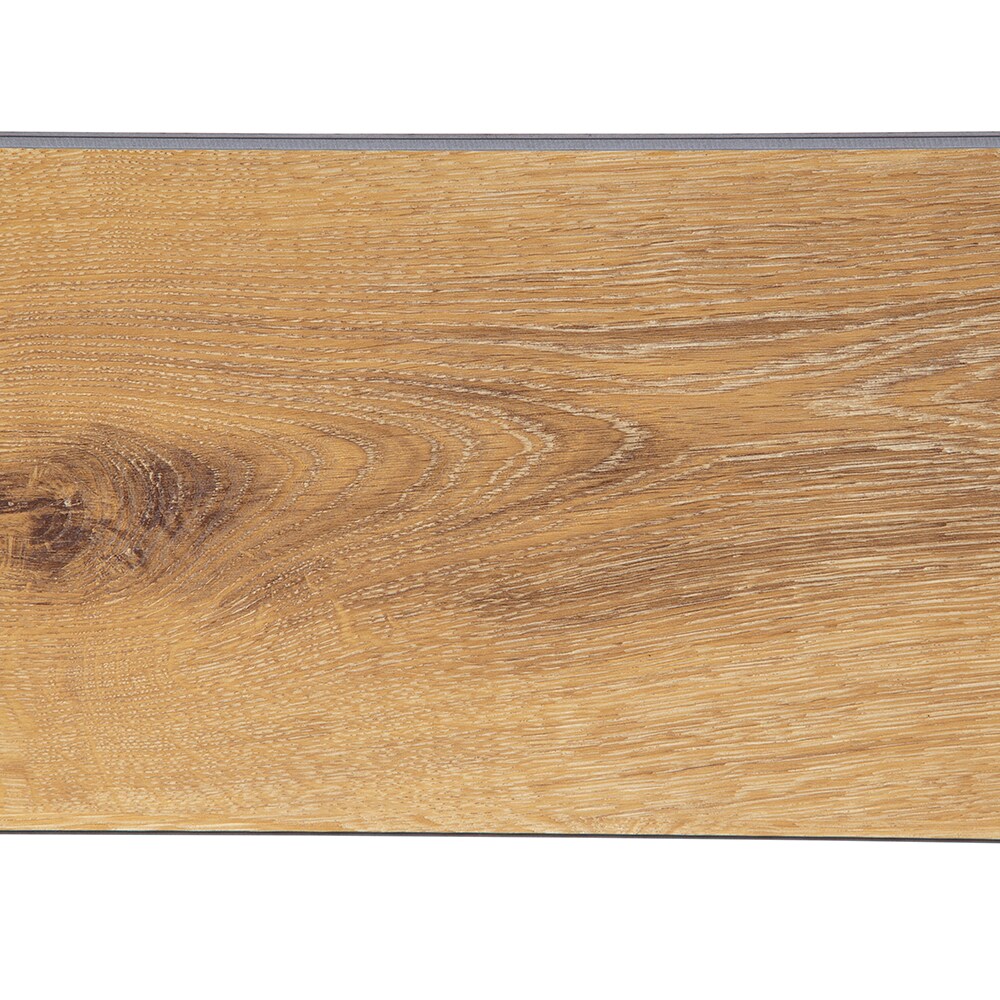 STAINMASTER PetProtect LWD8645SMSS Luxury-Vinyl-Plank-Samples - View #9