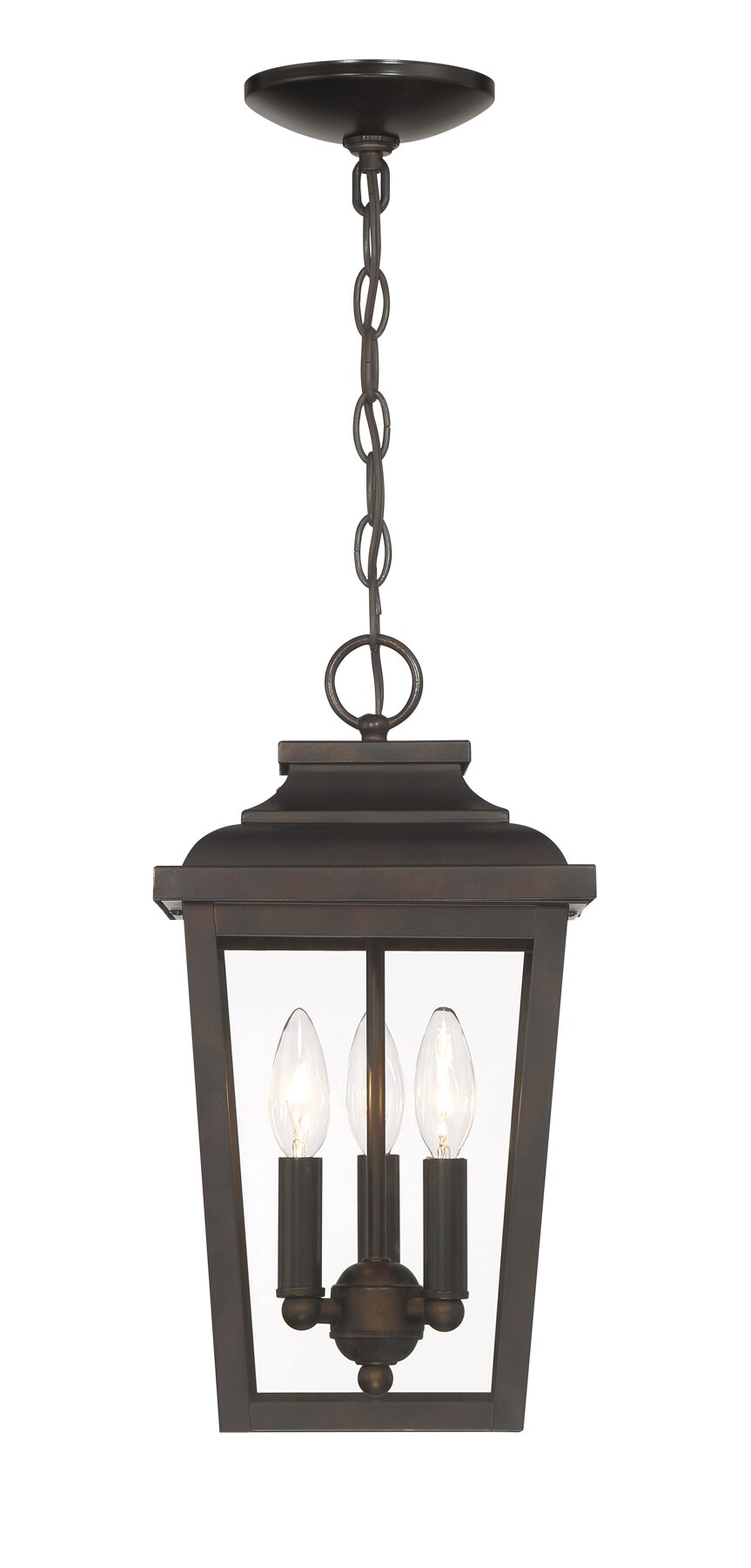 The Great Outdoors Irvington Manor 3-Light Chelsea Bronze Coastal Clear ...