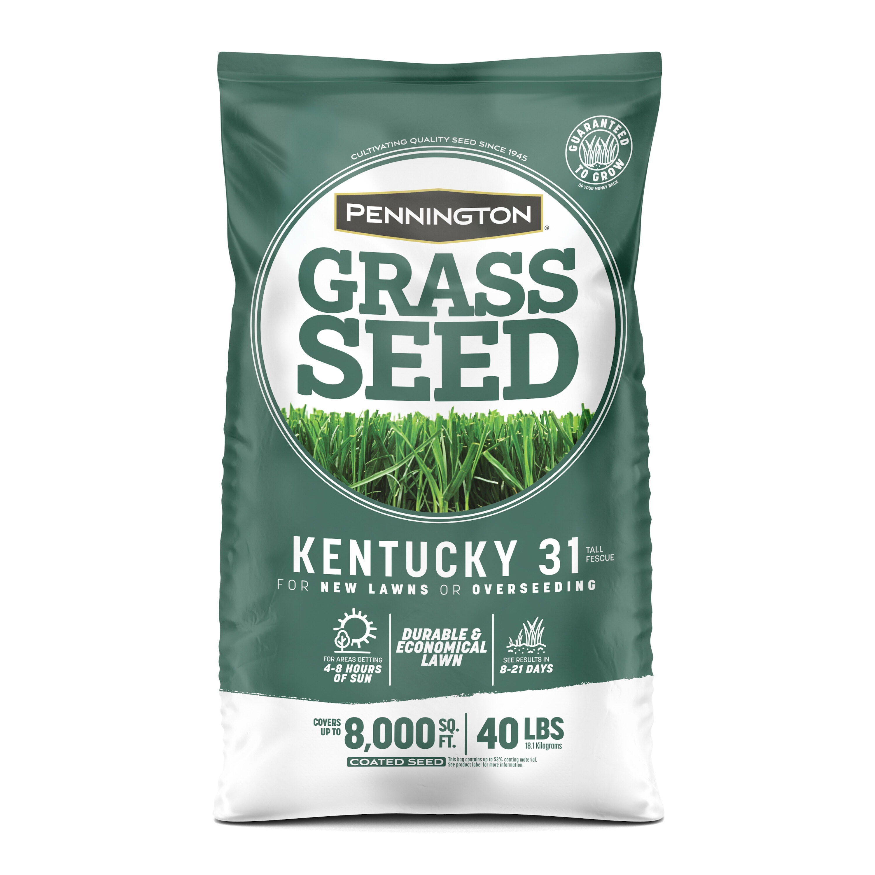 Kentucky 31 Grass Seed at