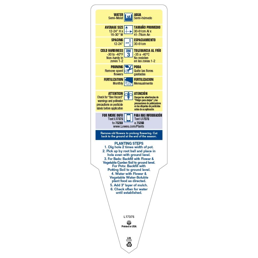 Lowe's CHR2.81 annuals - View #3