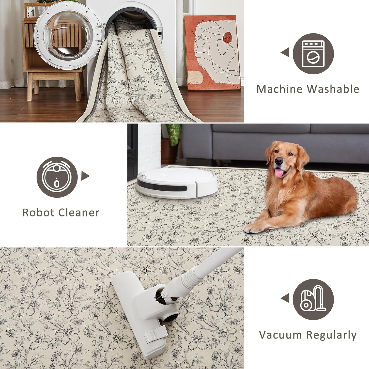 Assile XH260820400 rugs - View #5