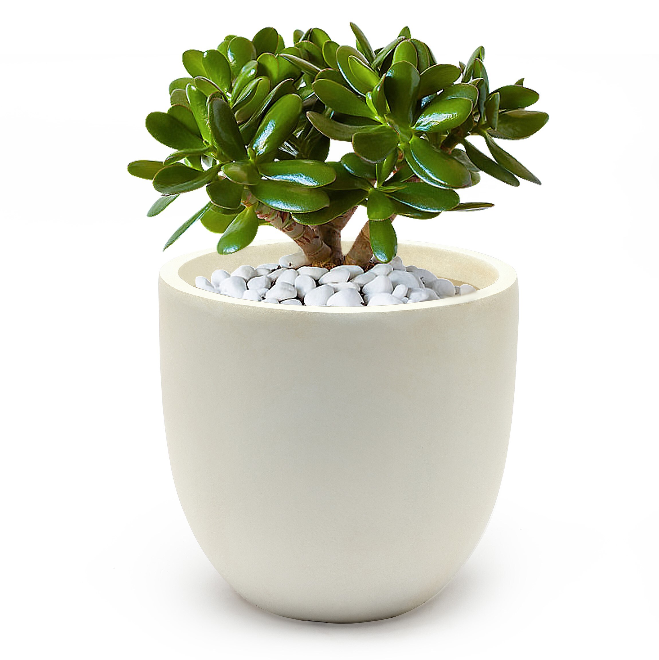 LuxenHome WH033-W Planter-Window-Box - View #10