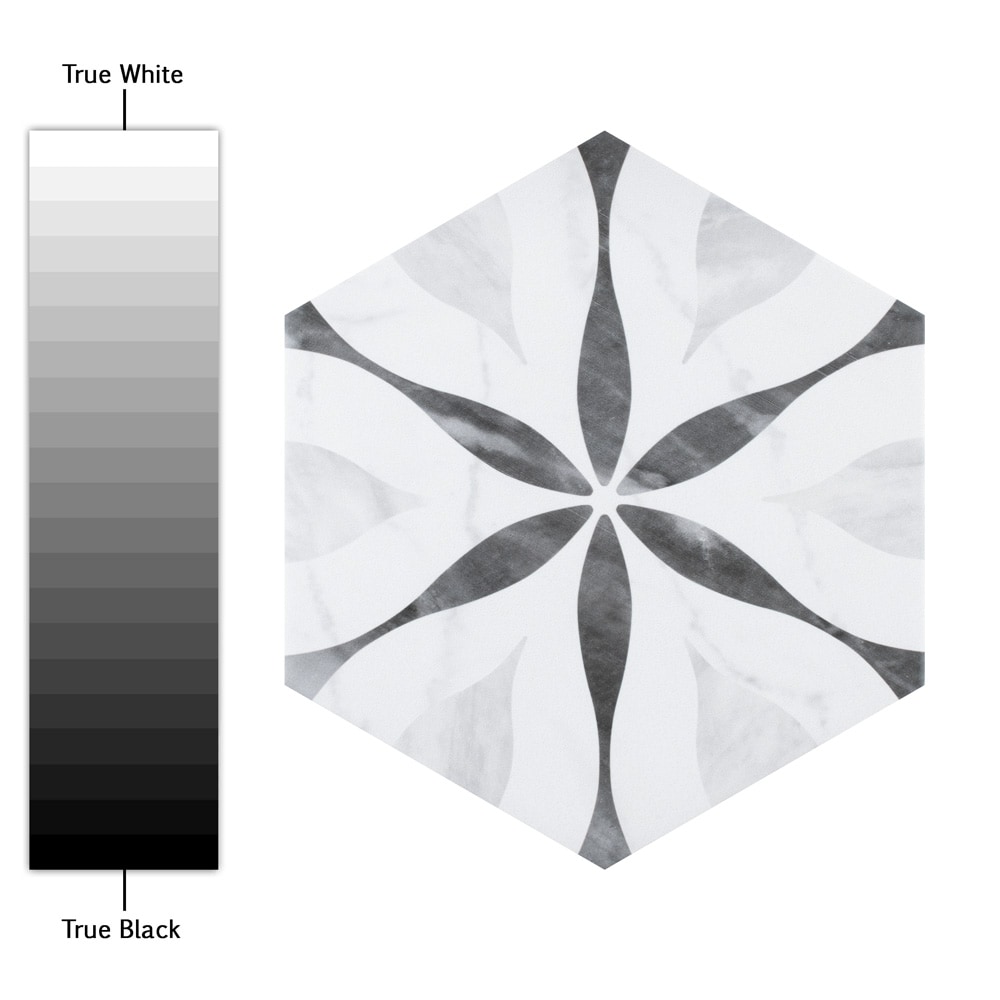Affinity Tile FEQ8BXF Ceramic-Tile - View #9