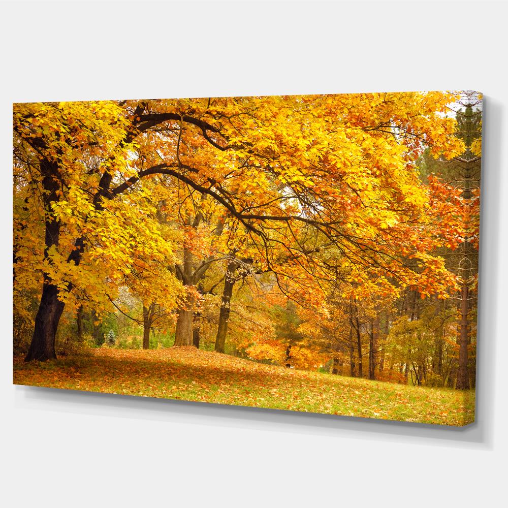 Designart PT6883-32-16 Wall-Art - View #2