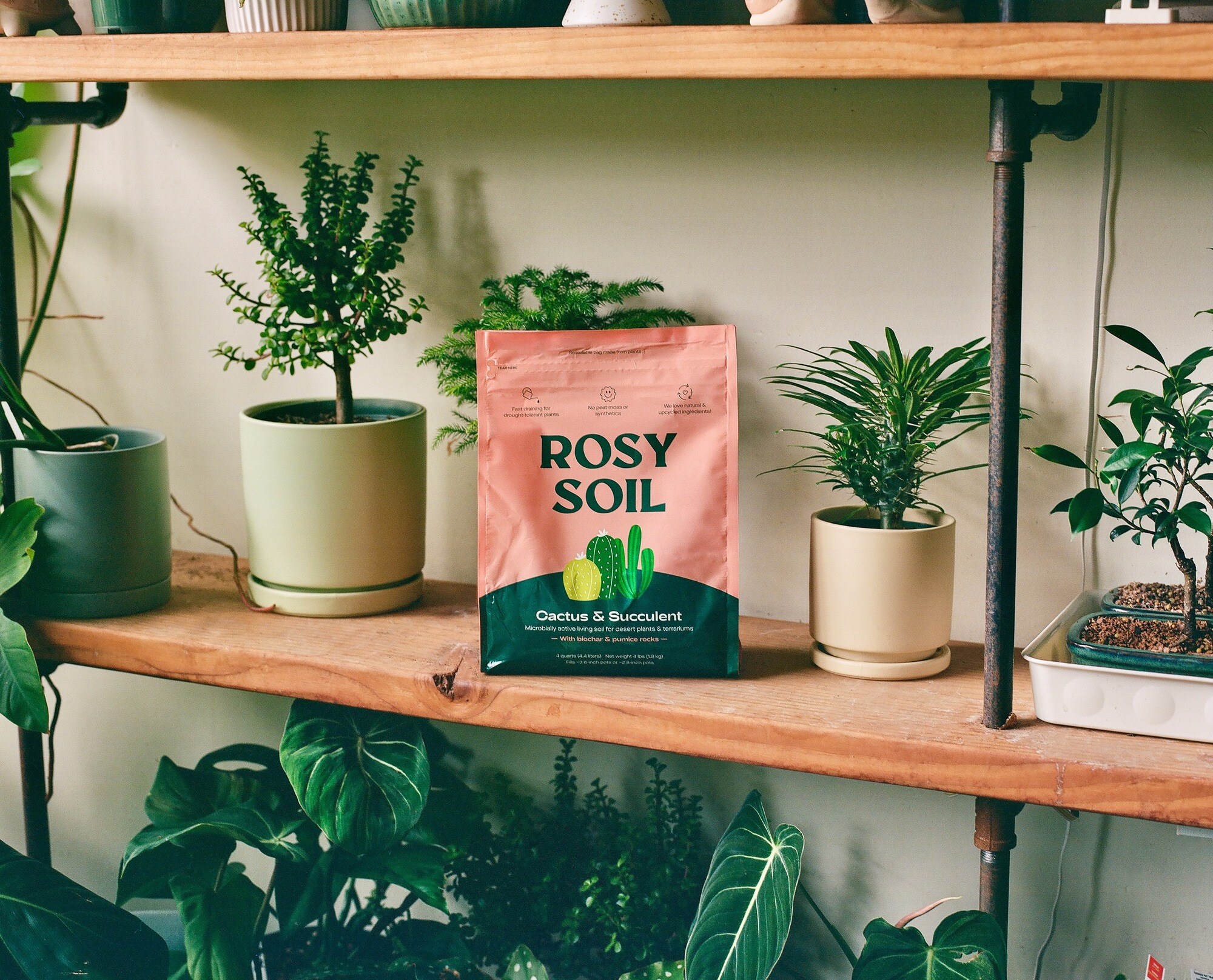 Rosy Soil 196852105274 Garden-Soil-Soil-Amendments - View #11