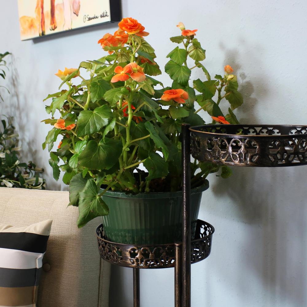 Sunnydaze Decor KF-584 Plant-Stand - View #9