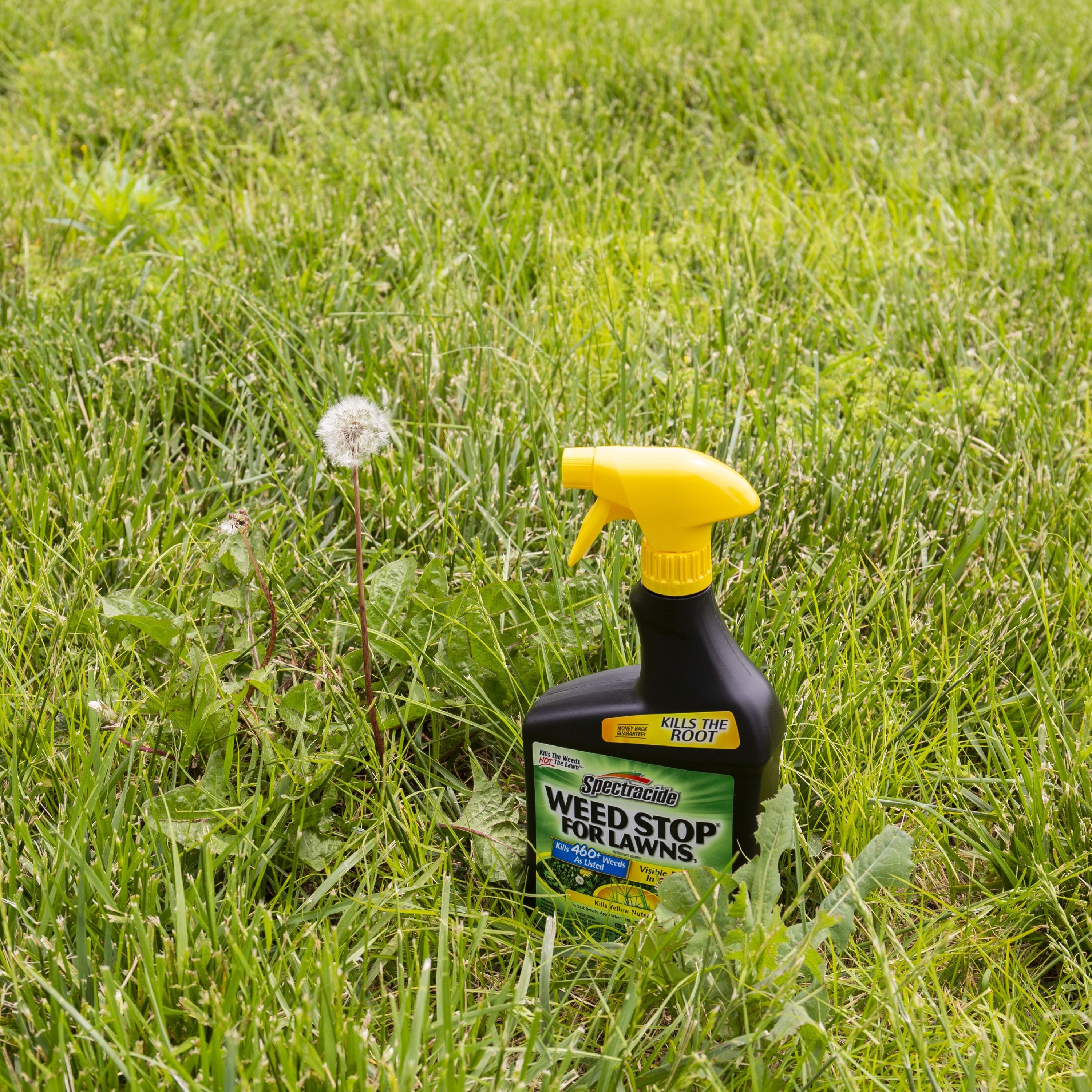 Spectracide Weed Stop For Lawns Ready-To-Use 32-fl oz Trigger Spray ...