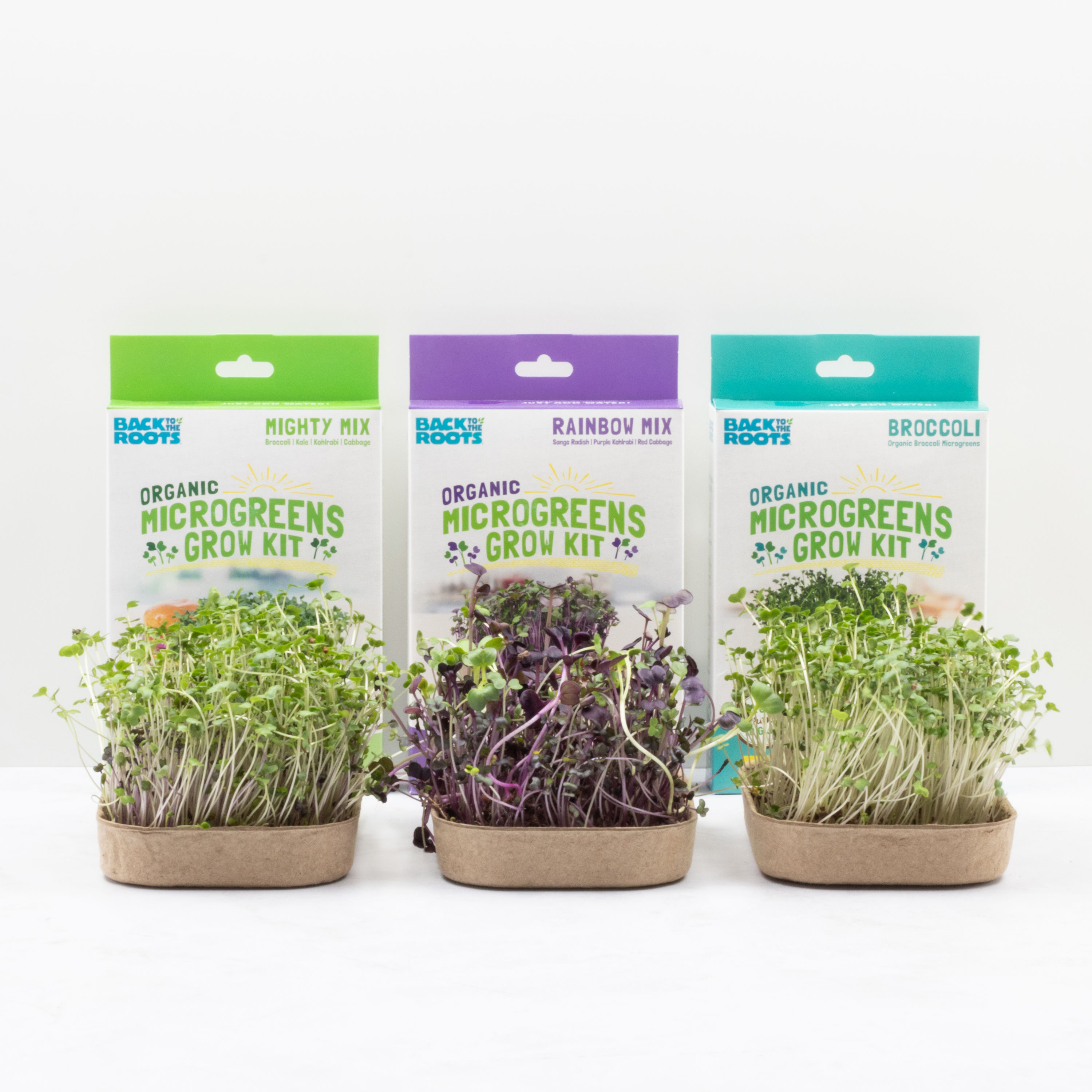 Grow Kits Gardening Kits at Lowes.com