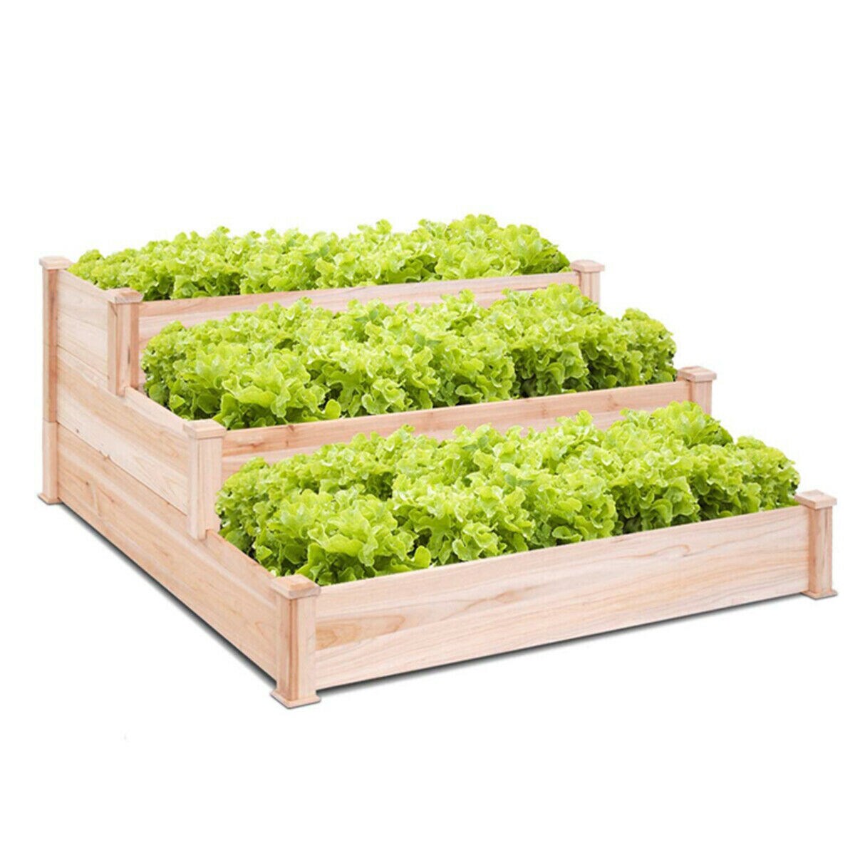 Slickblue D-CO-4243TG Raised-Garden-Beds - View #5