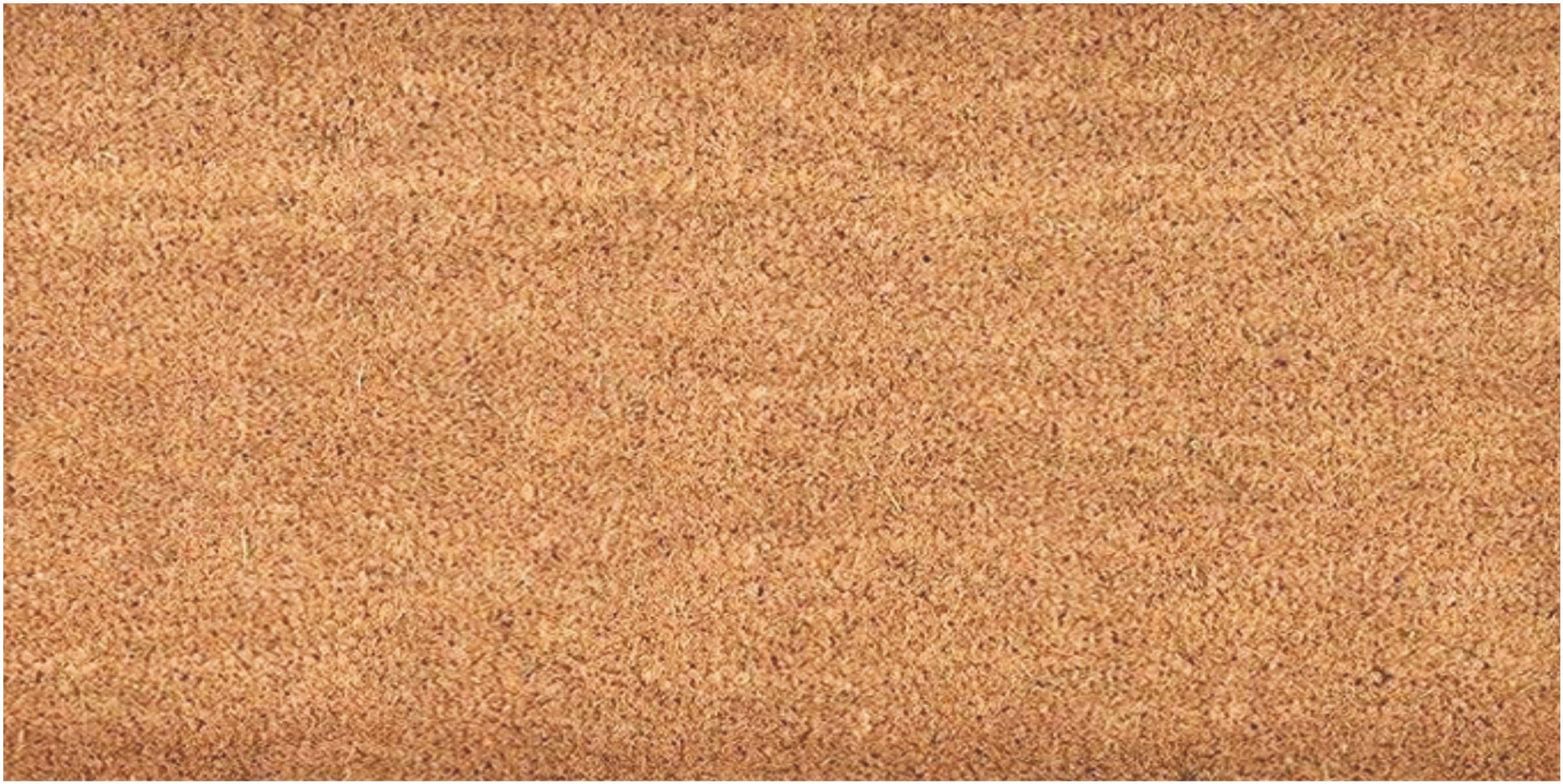  VBC-2448-PL 2-ft x 4-ft Natural Coir/Vinyl Rectangular Indoor Door mat