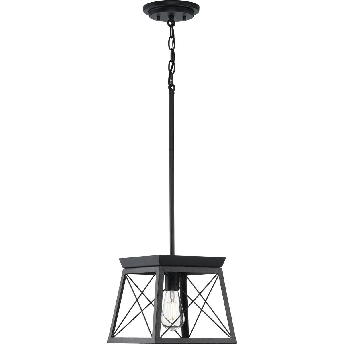 Progress Lighting P500041-031 Pendant-Lights - View #10