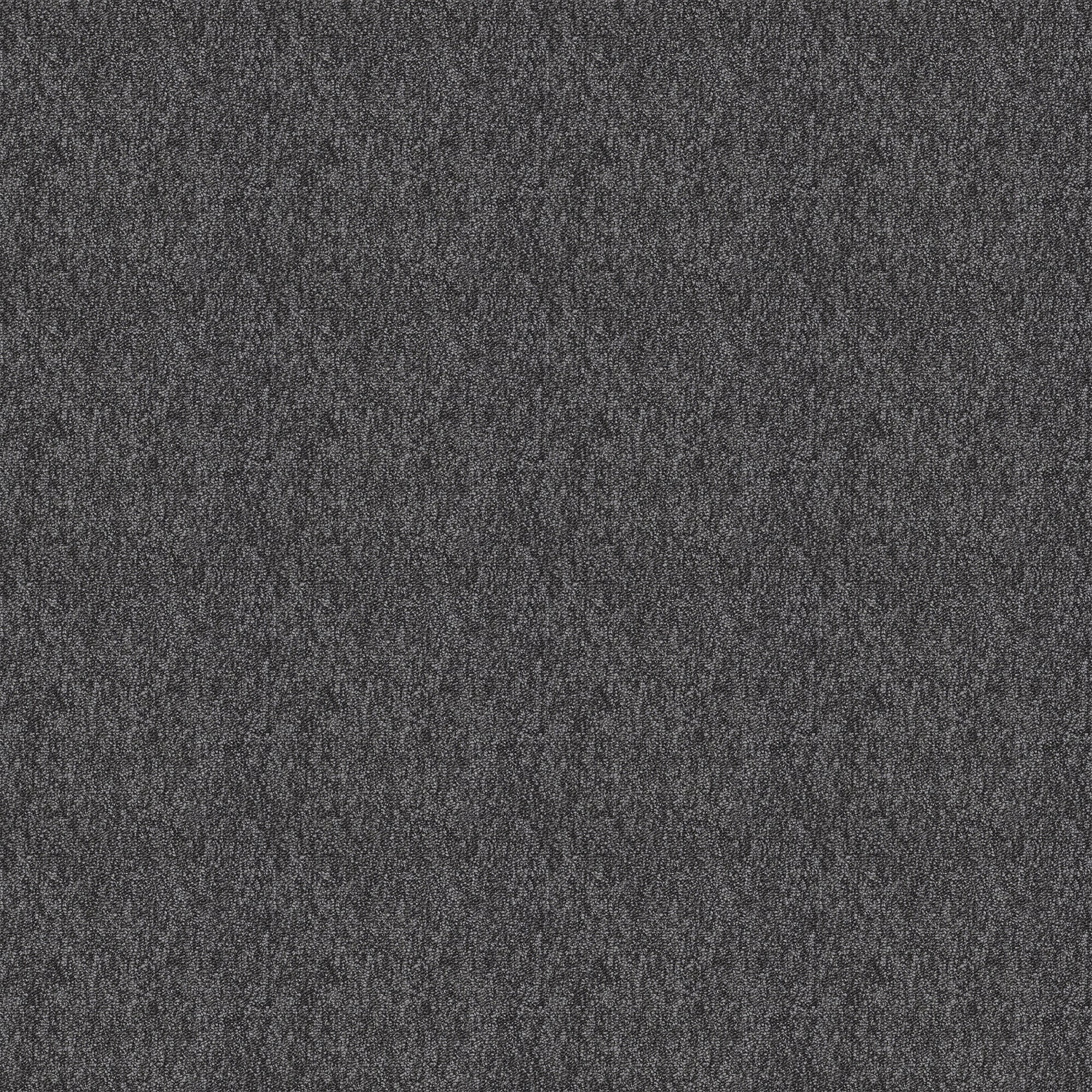 Shaw 7P0VB00502 Timely 24-in x 24-in Persist Gray Commercial Adhesive Indoor Carpet Tile ( 48-sq ft )