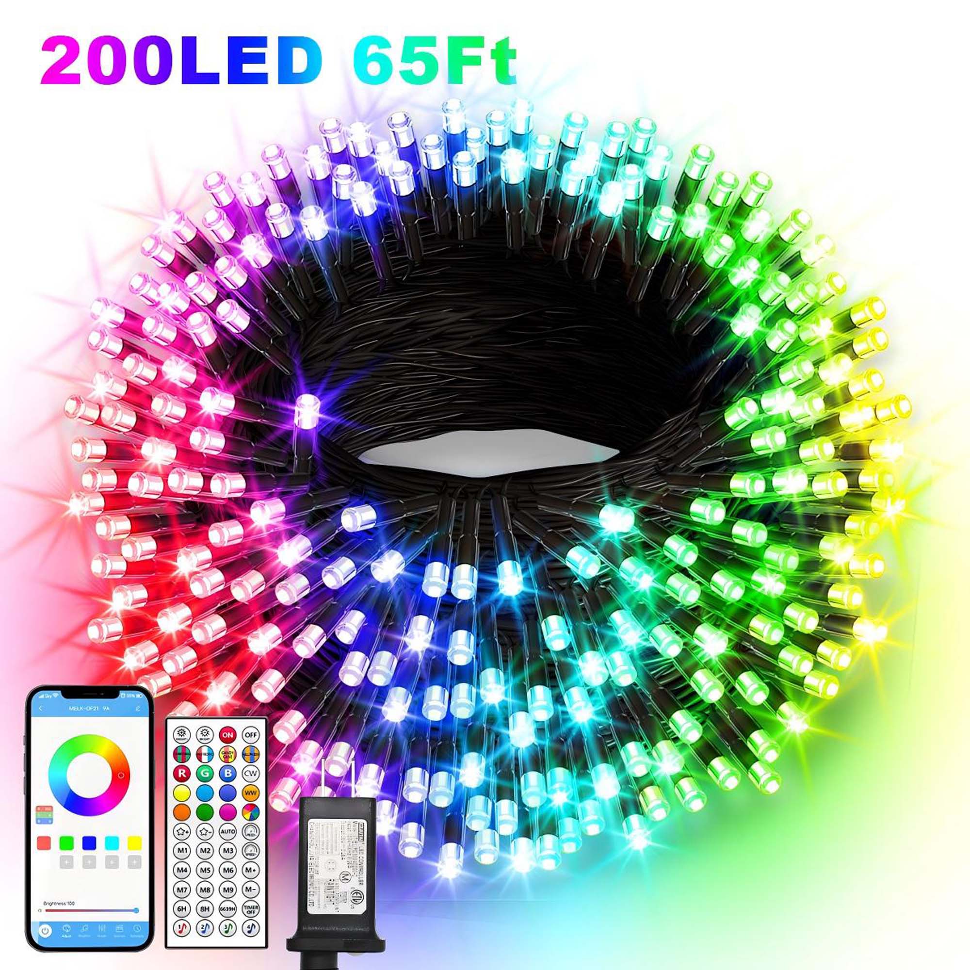 YOUNGAR  65FT 200 LED Multicolor String Lights Christmas Decoration Lights with Remote 8 Modes and Timer Function for Holiday Party Decor
