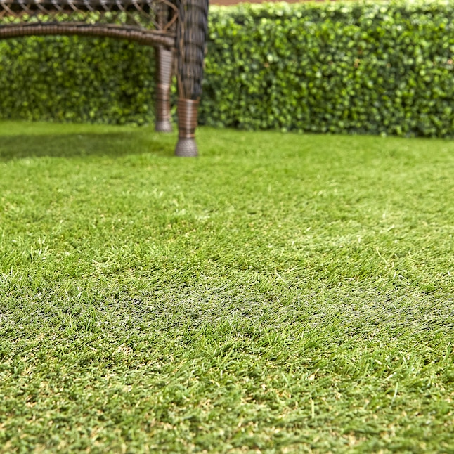Everlast Imperial 15-ft W x Cut-to-Length Fescue Artificial Grass Everlast Imperial 15-ft W x Cut-to-Length Fescue Artificial Grass