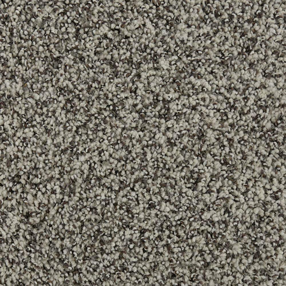 STAINMASTER STP62-L009-0808 (Sample) Tranquil Walk II Luminescence Brown 52-oz sq yard Triexta Textured Indoor Carpet