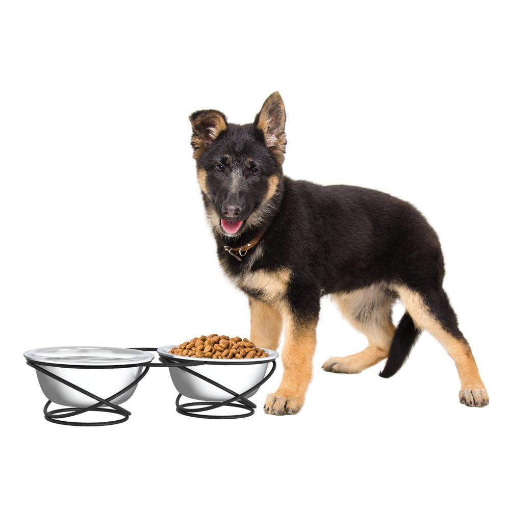 Little Giant Automatic Dry Dog Food Feeder & 3.25 Gal Steel Ever