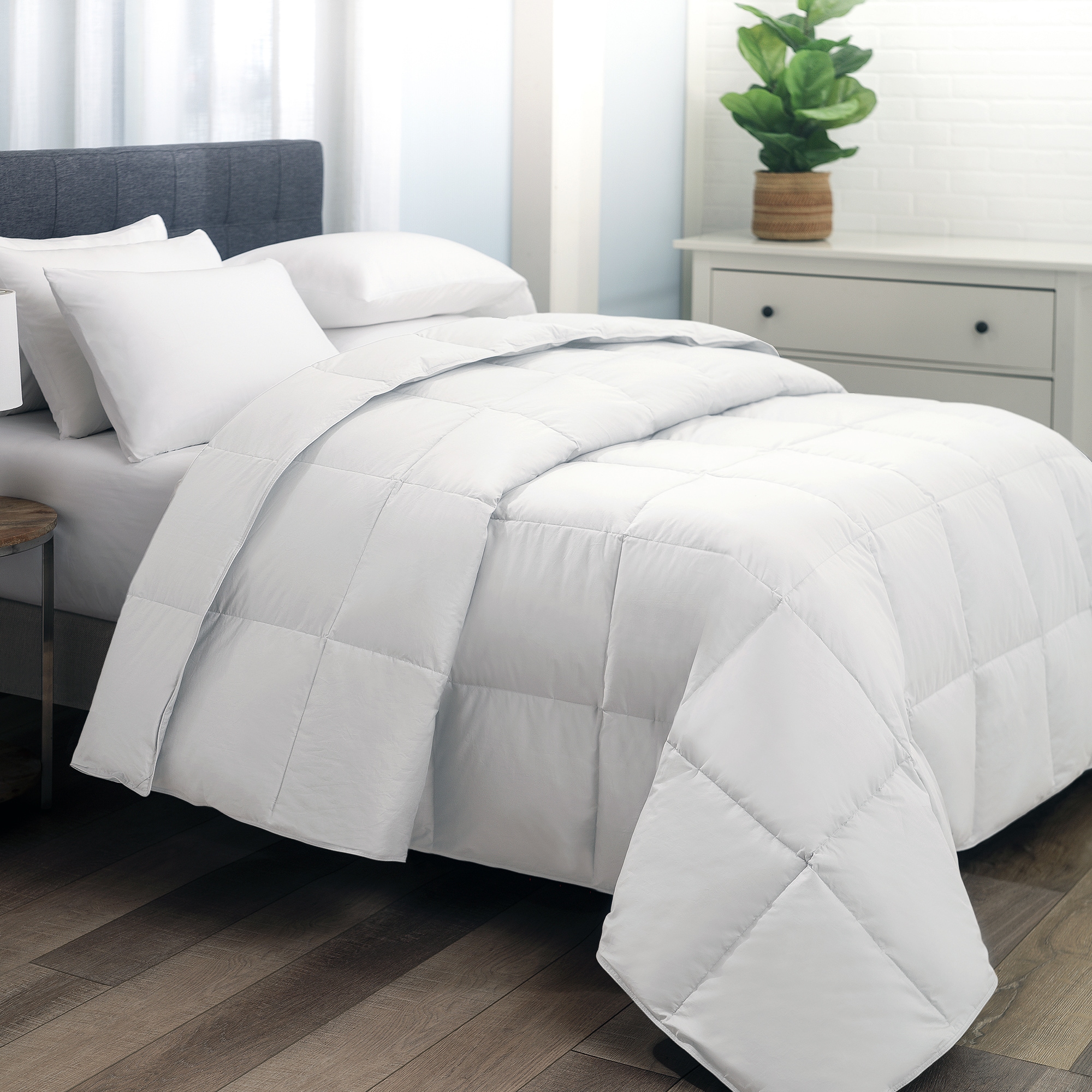 Cozy Essentials CF003563B Comforters-And-Bedspreads - View #3