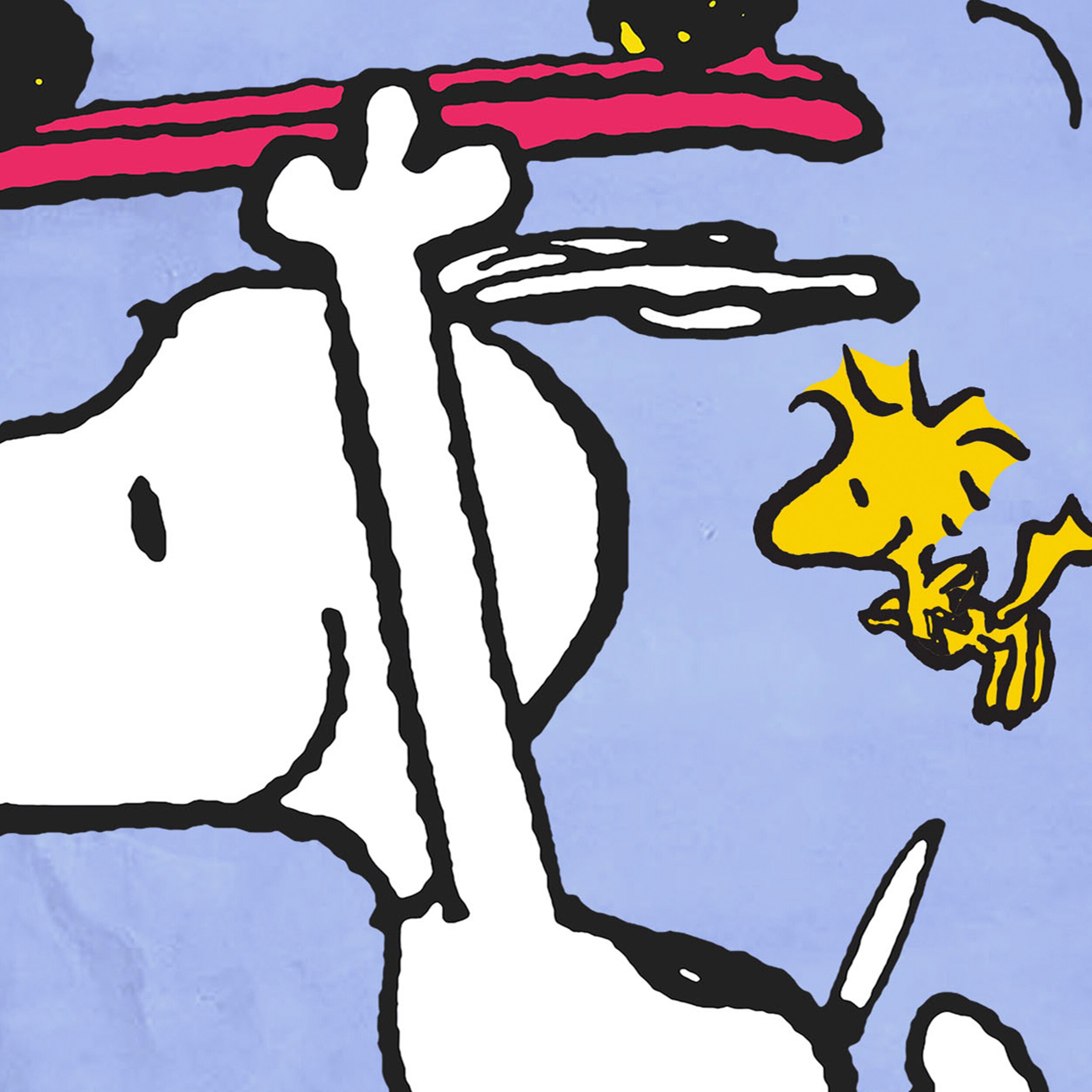 Peanuts 10-1335-51-01 Decorative-Banner-Flags - View #4