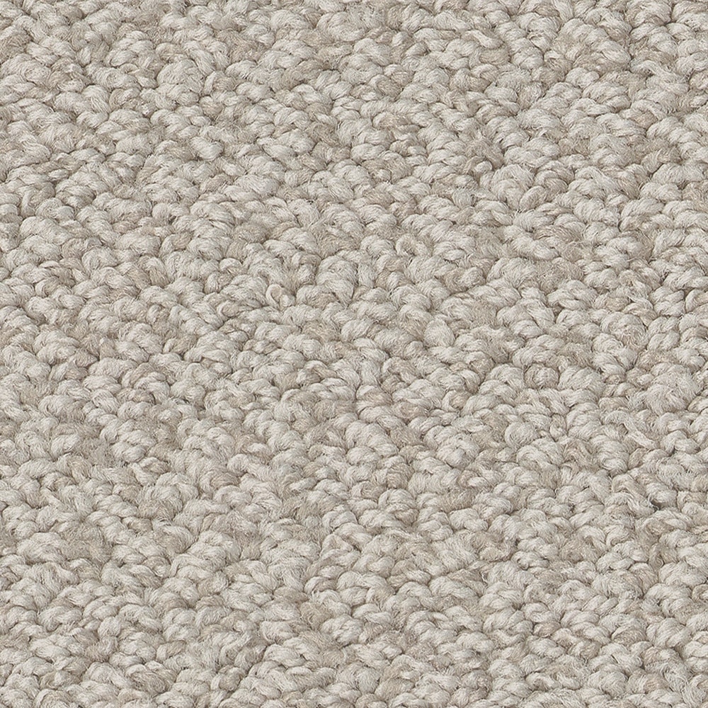 STAINMASTER PetProtect 7L85000128 Carefree Mood Baltic Stone Gray 43.9-oz sq yard Nylon Level loop Indoor Carpet