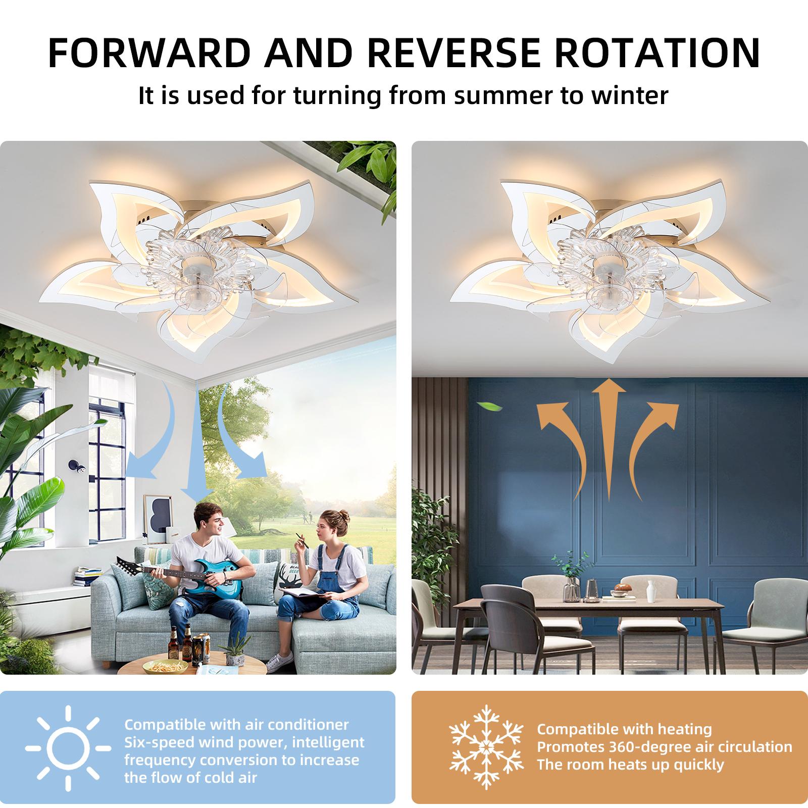Bayfeve BFSHL-14936-CF Ceiling-Fans - View #7