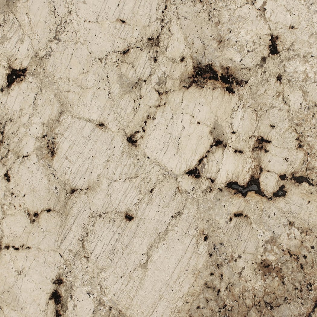 SenSa 237449 Crescent Veil 4 in. x 4 in. Crescent Veil Granite Brown Kitchen Countertop SAMPLE ( 4-in x 4-in )