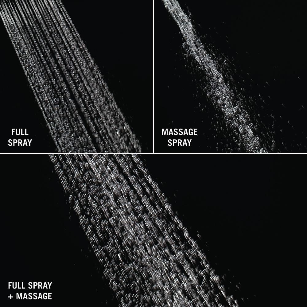 Dual Chrome and Brushed Nickel Adjustable Handheld Shower Head Combo