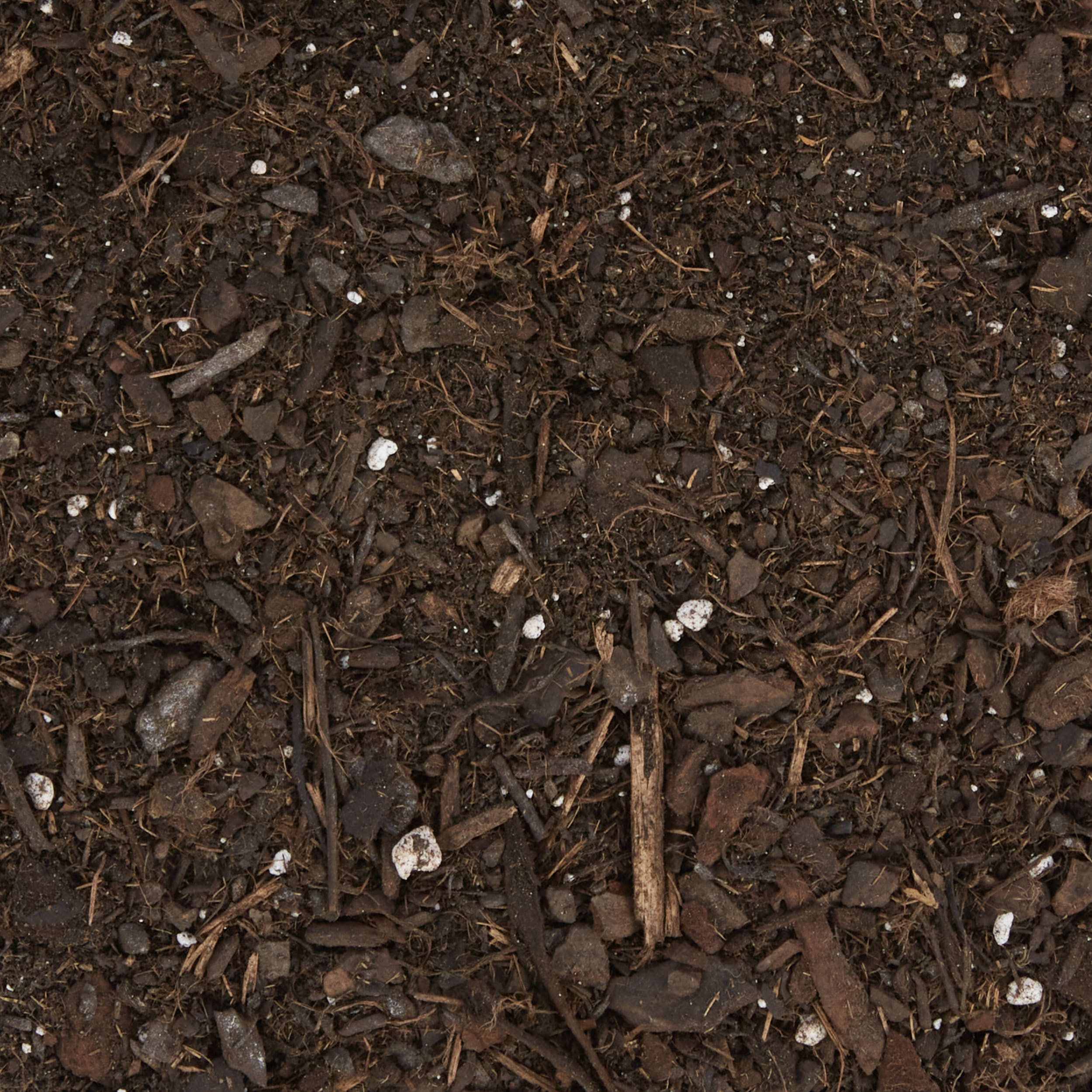 Carolina GOLD CGORGGS1.5 Garden-Soil-Soil-Amendments - View #12