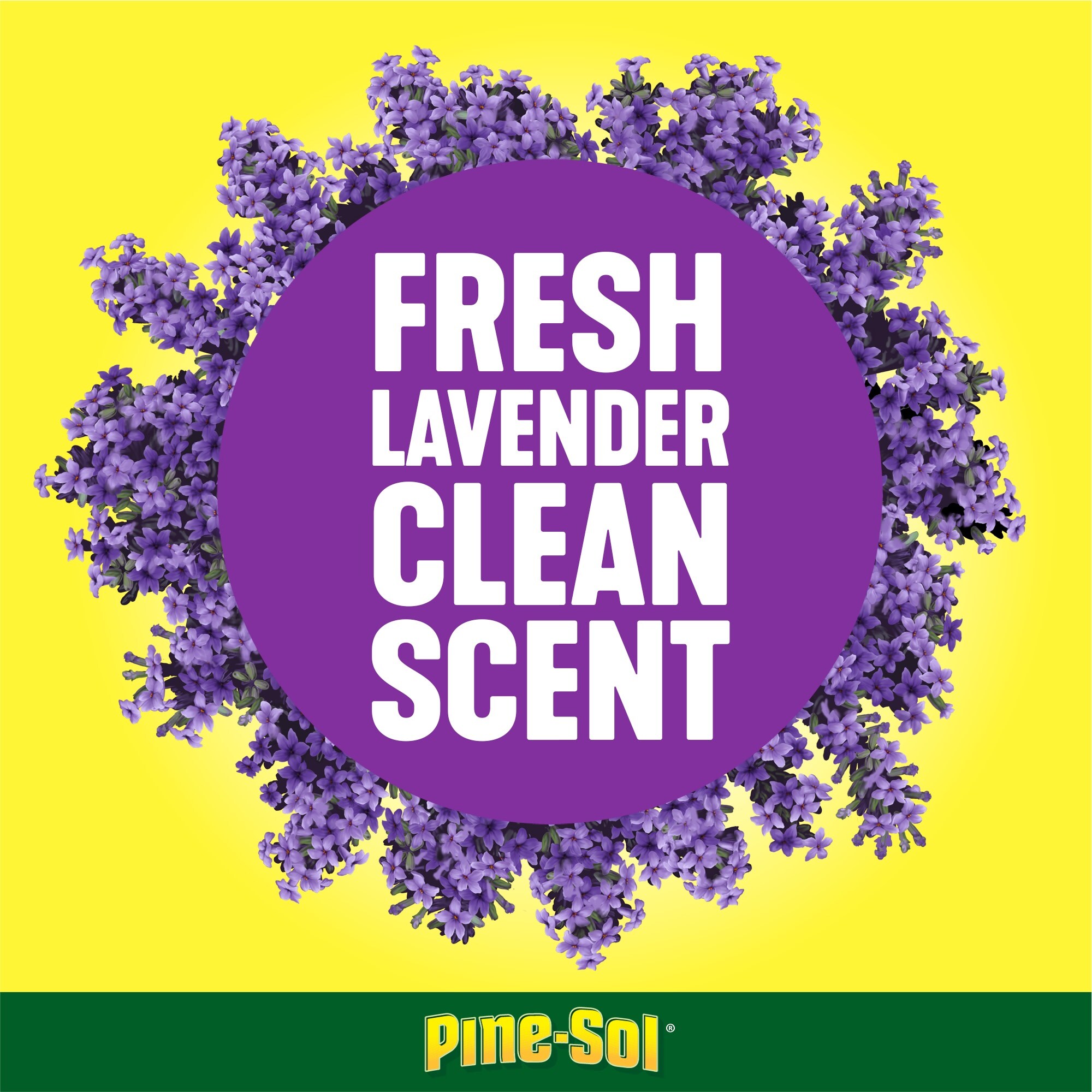Pine-Sol 4129440112 All-Purpose-Cleaners - View #7