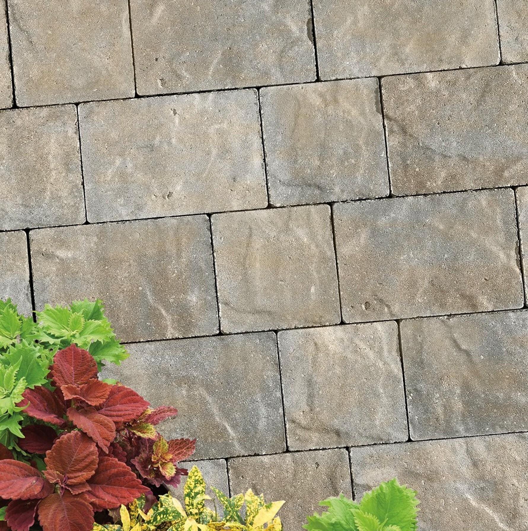 Pavestone 25823 Patio-Stone-Pavers - View #2