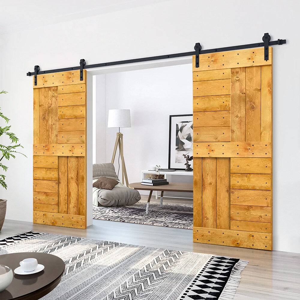CALHOME MK-96(2+N1-38AT(2+CN Barn-Doors - View #3