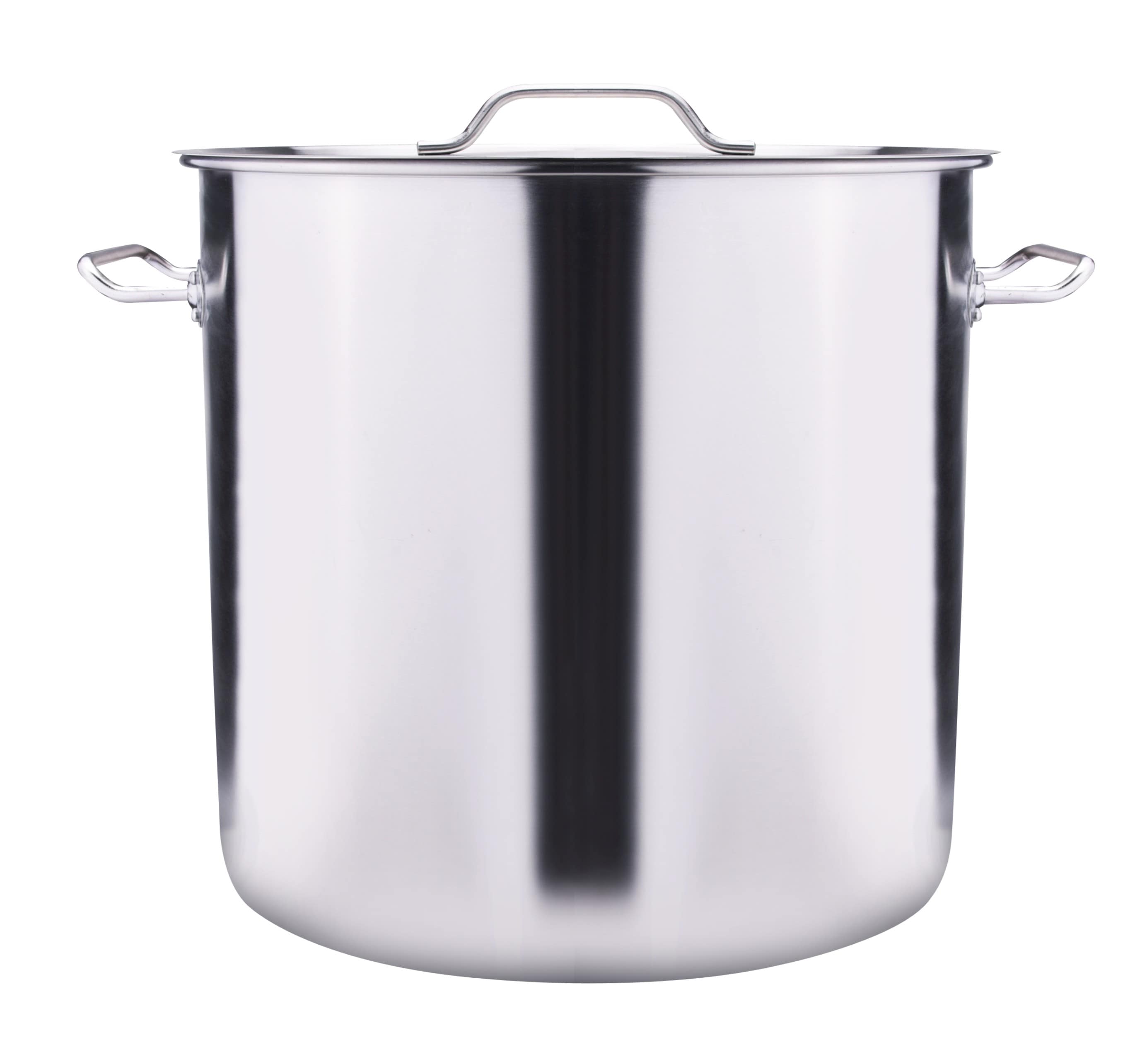 ARC Stainless Steel Stock Pot & Reviews