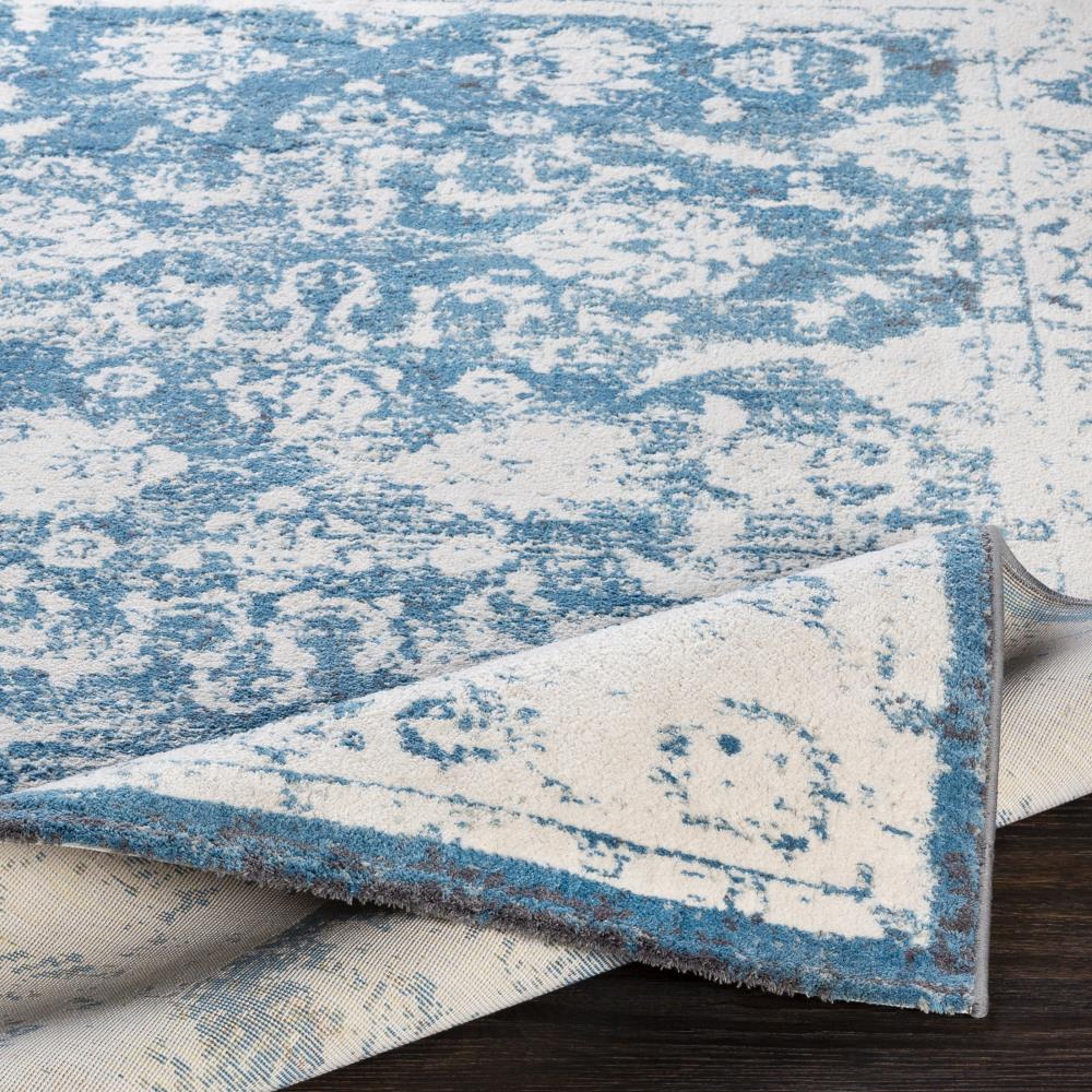 Surya APY1006-7696 rugs - View #5